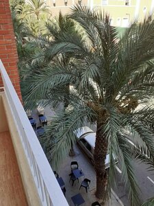 Гостевой дом Pension Arena Alicante