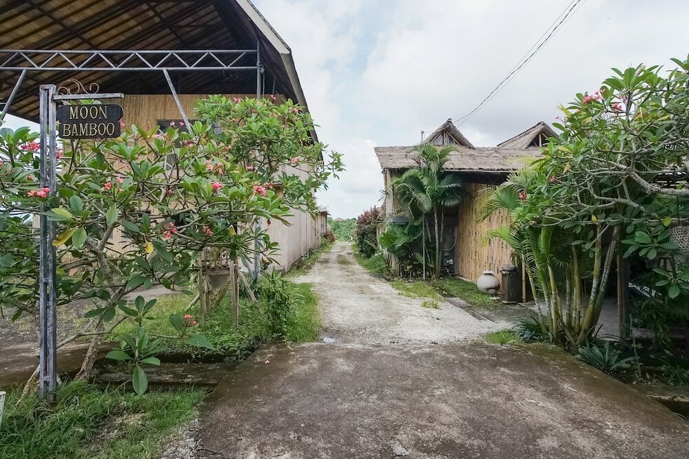 Фото Moon Bamboo