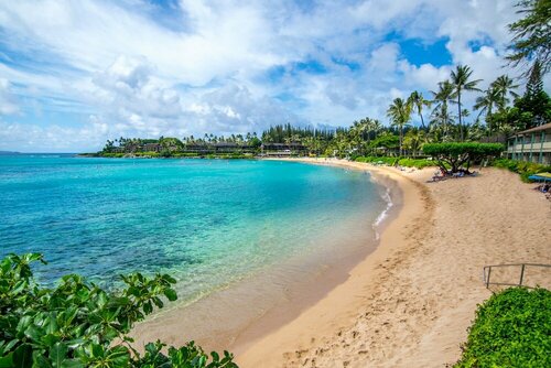Гостиница Napili Shores Maui by Outrigger
