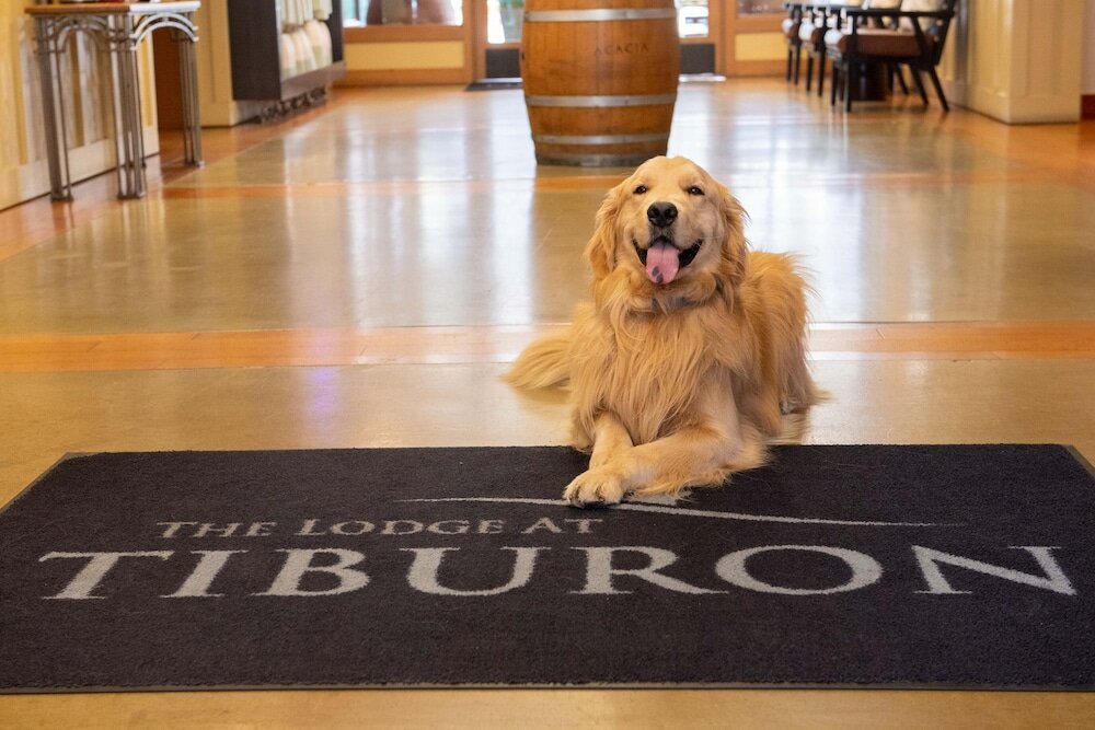 Фото The Lodge at Tiburon