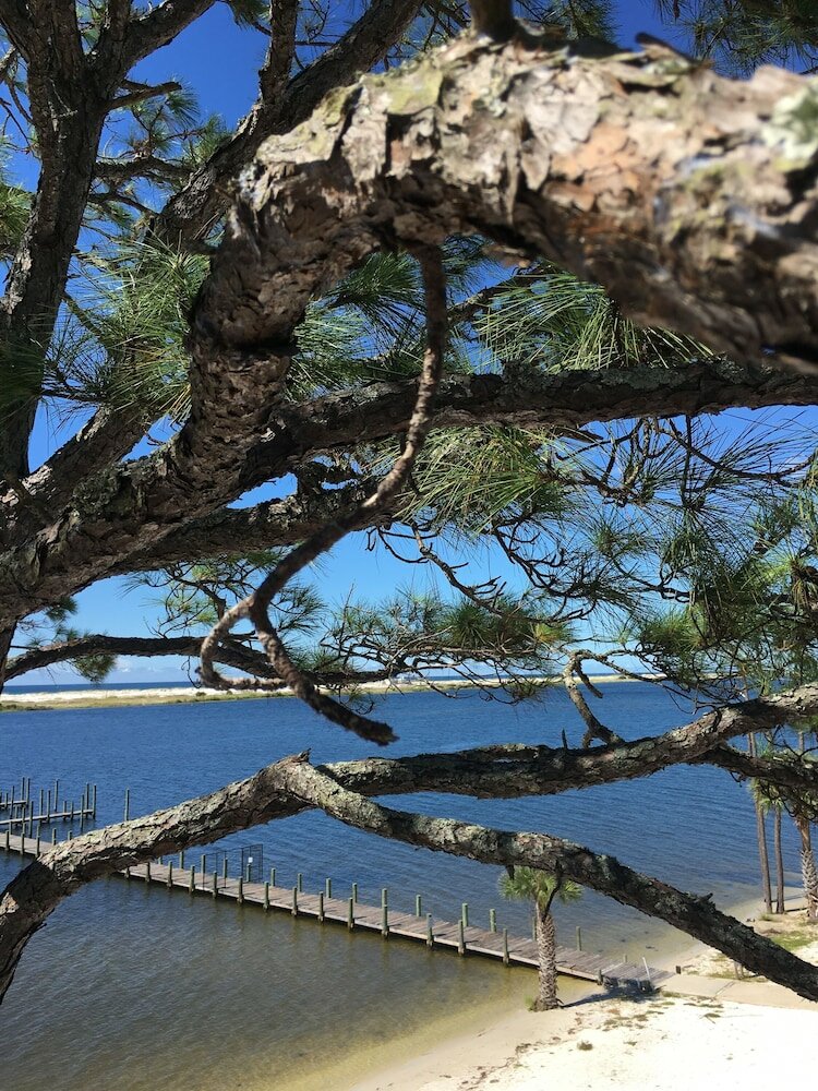 Фото Quality Inn