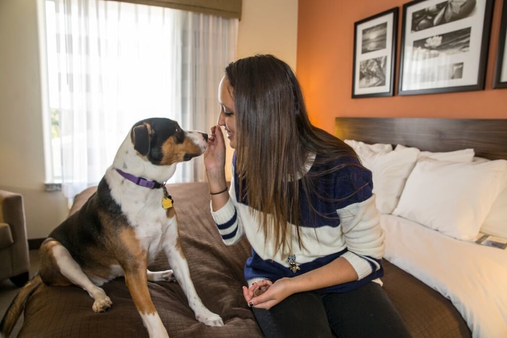 Фото Sleep Inn & Suites Austin Northeast