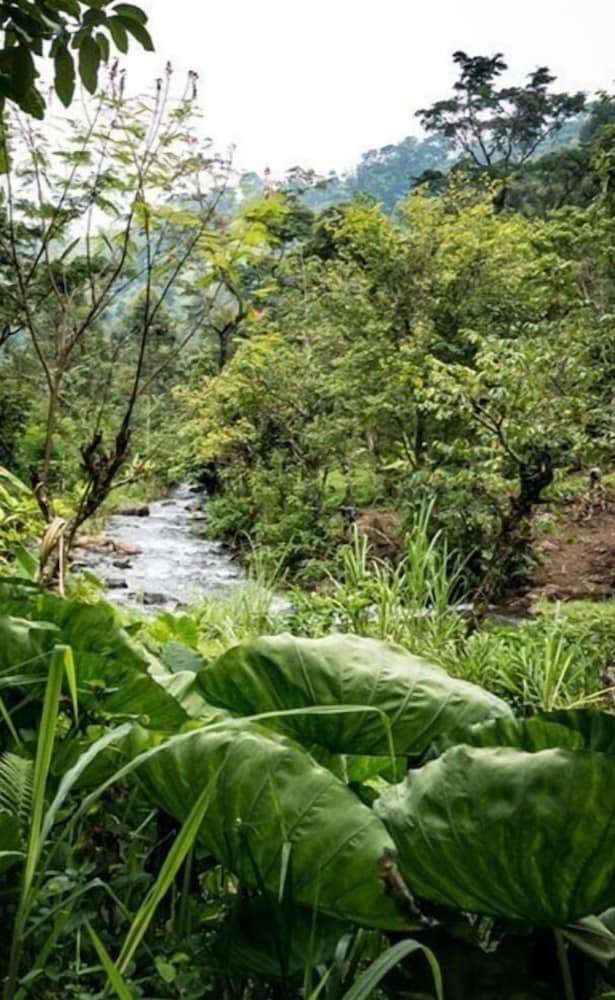 Фото Cozy Quiet Rooms In Safe Neighborhood