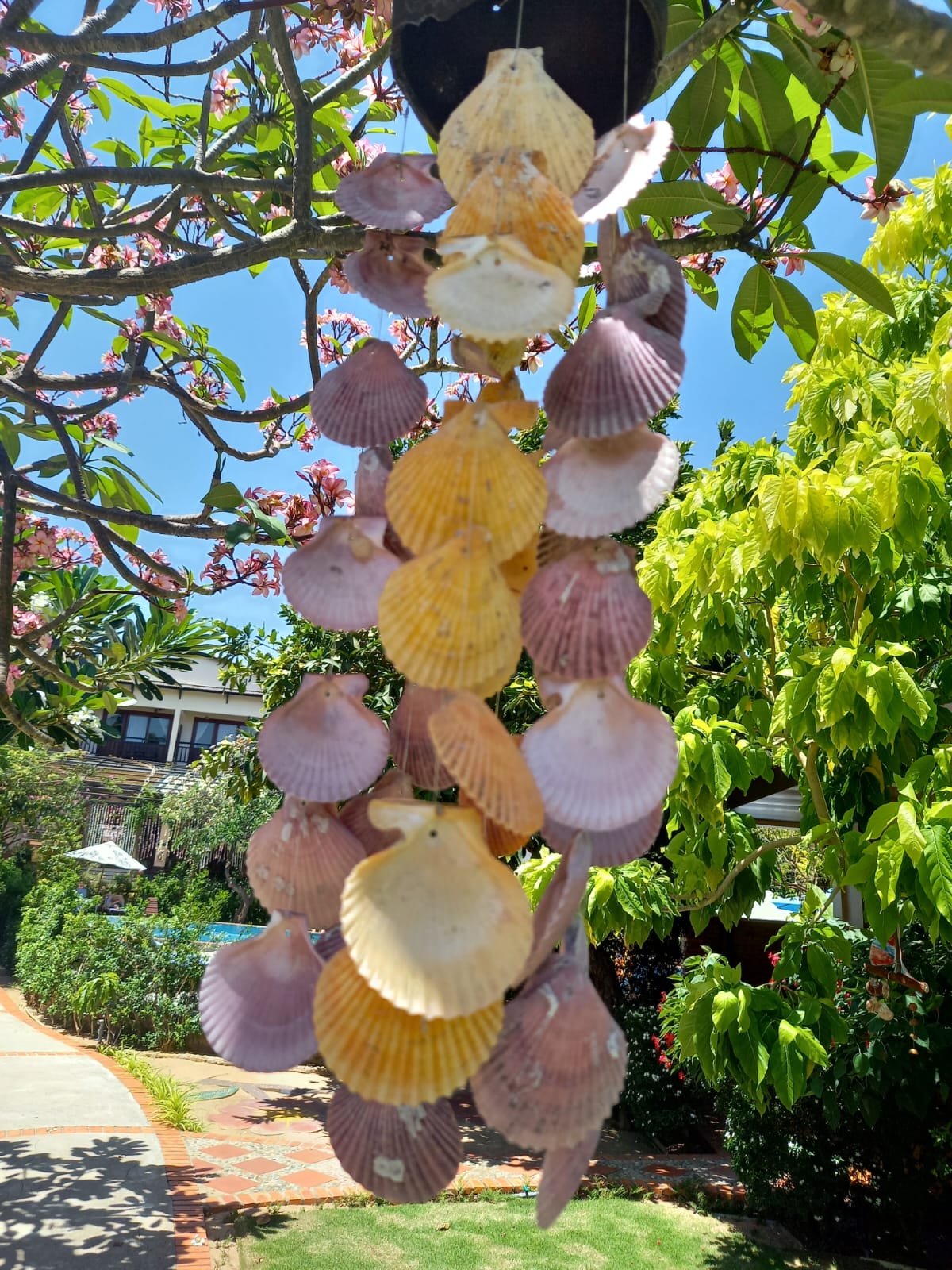 Фото Bao Quynh Bungalow Mui Ne