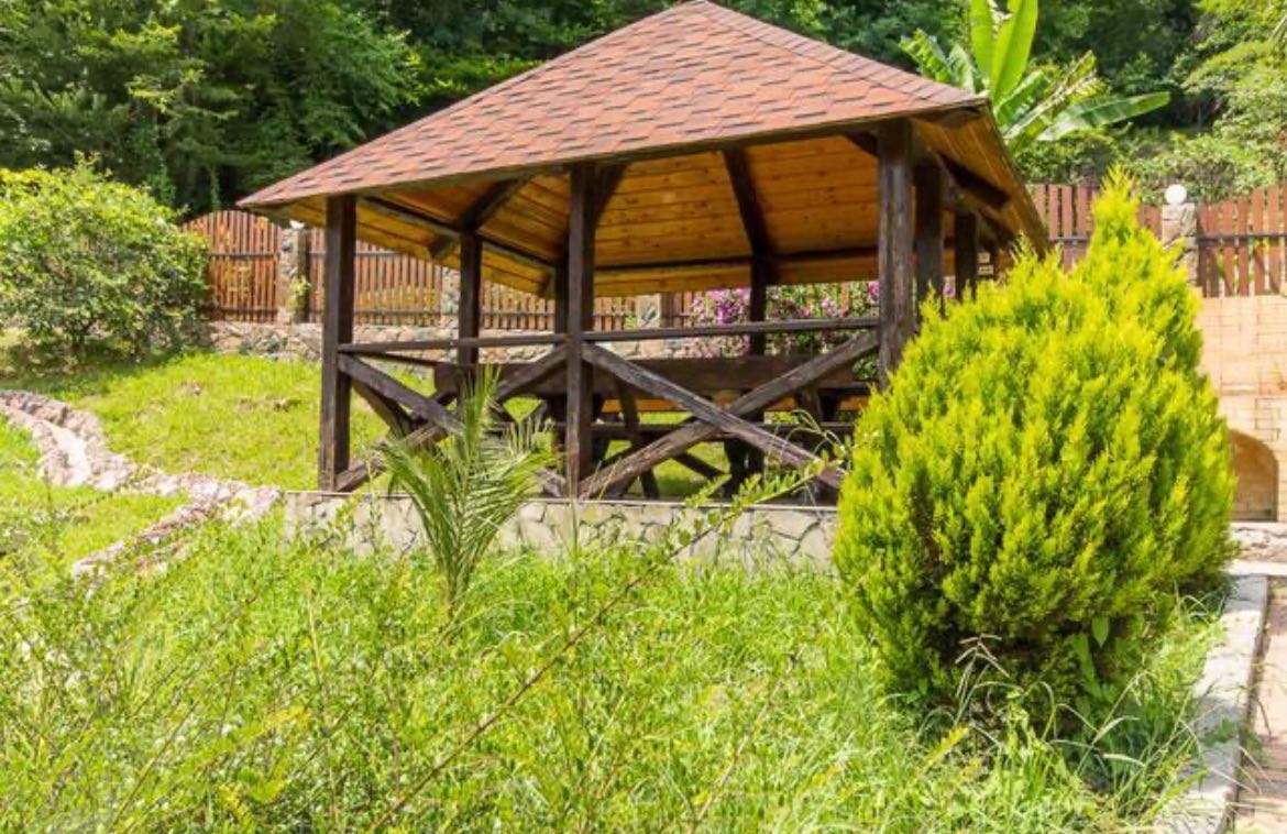 Фото Олимпик