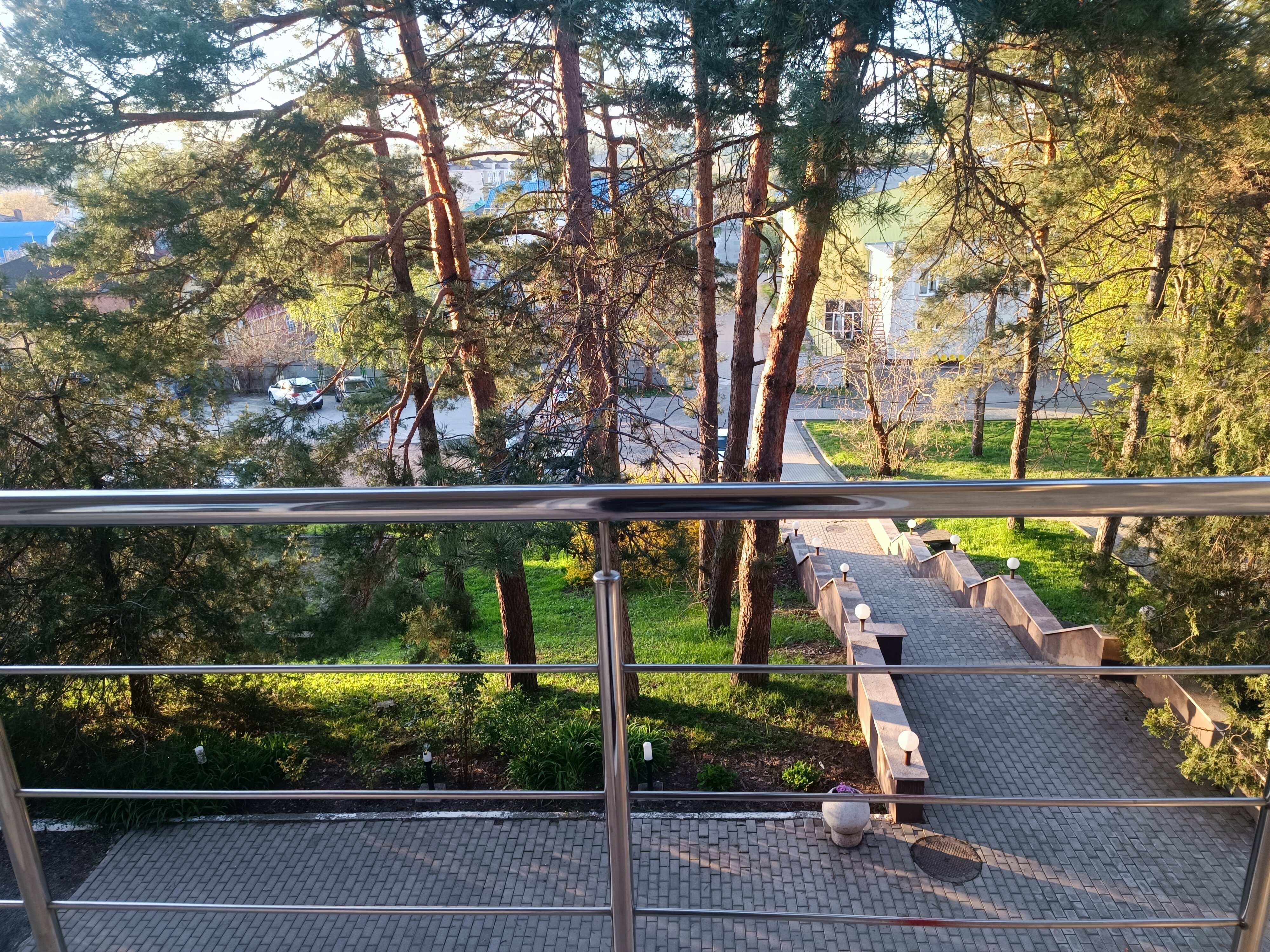 Фото Берёзка