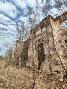 Барский дом (Ulyanovsk Region, Terengulskoye gorodskoye poseleniye, selo Nazaykino), landmark, attraction