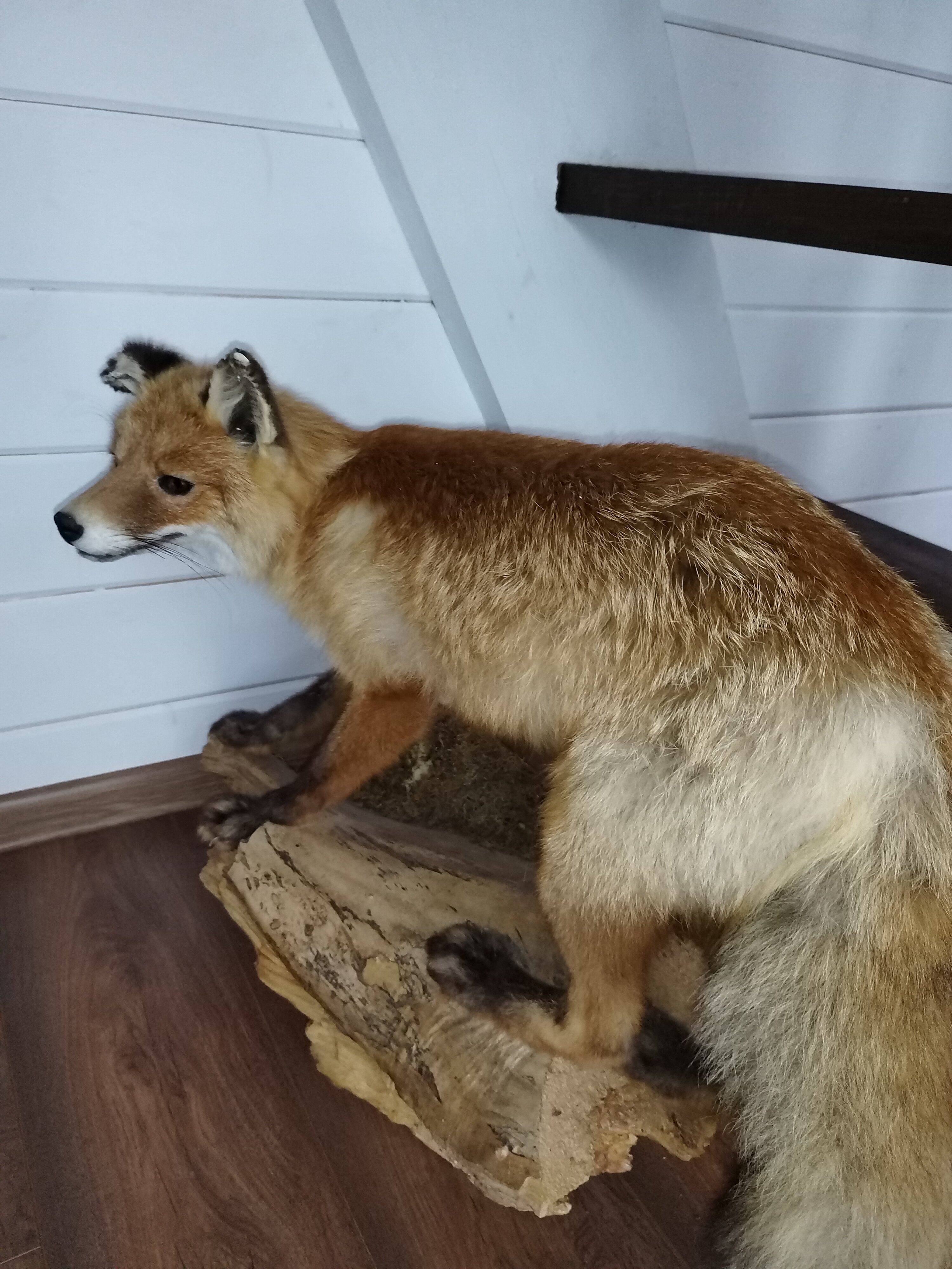 Фото A-frame Friday