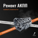 Check Engine (Lososinskaya Street, 14с3) ، صيانة الإرسال