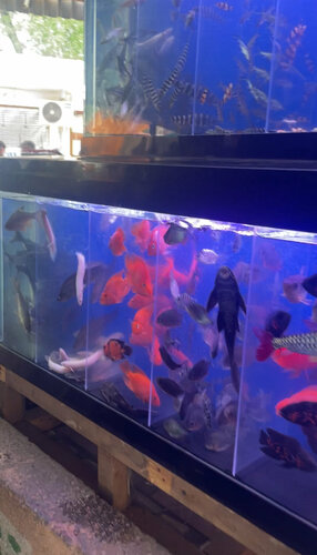 Voyaga etgan ayol qanday jinsiy olatni haqida oylaydi?