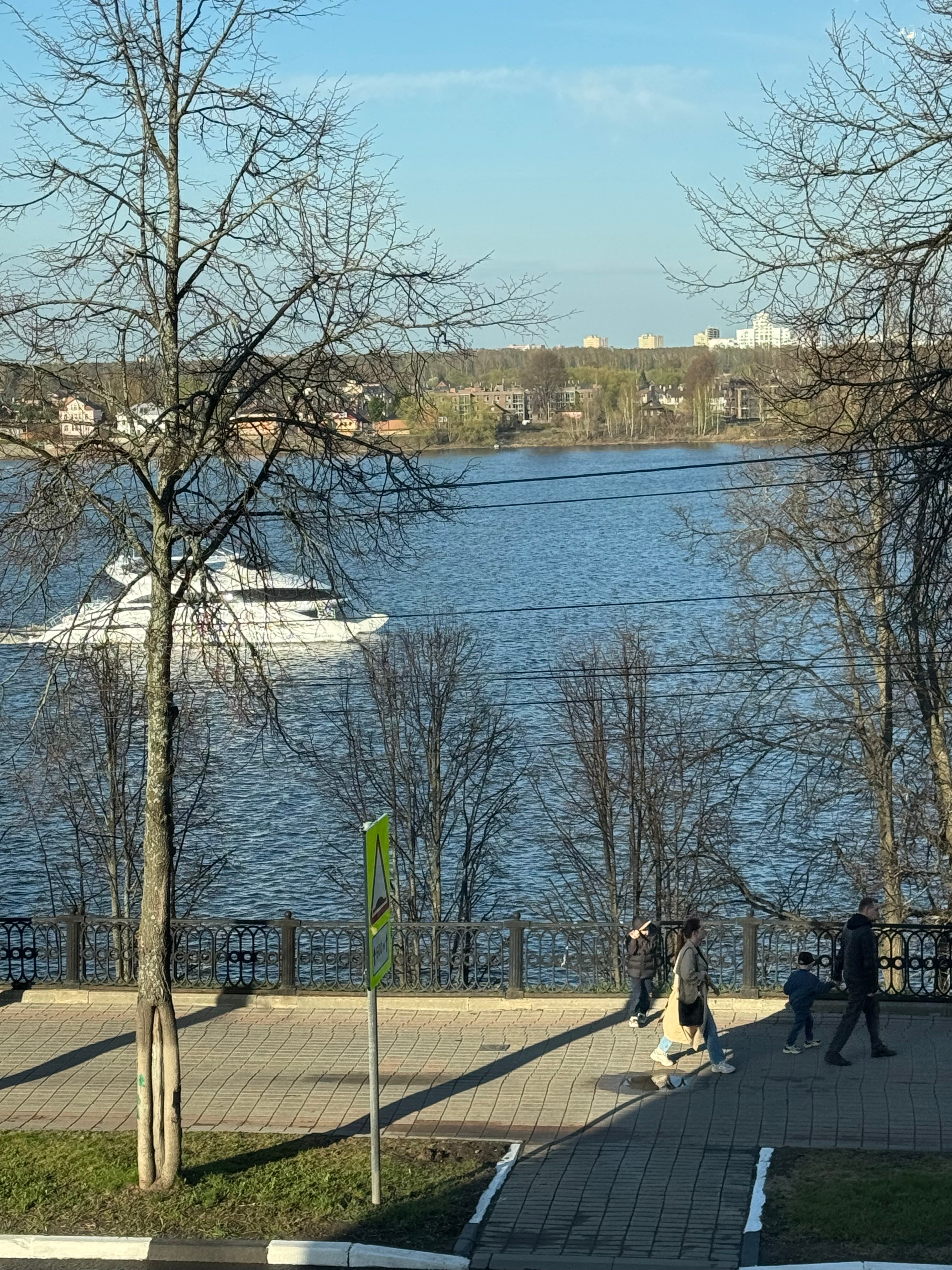 Фото Ласточка