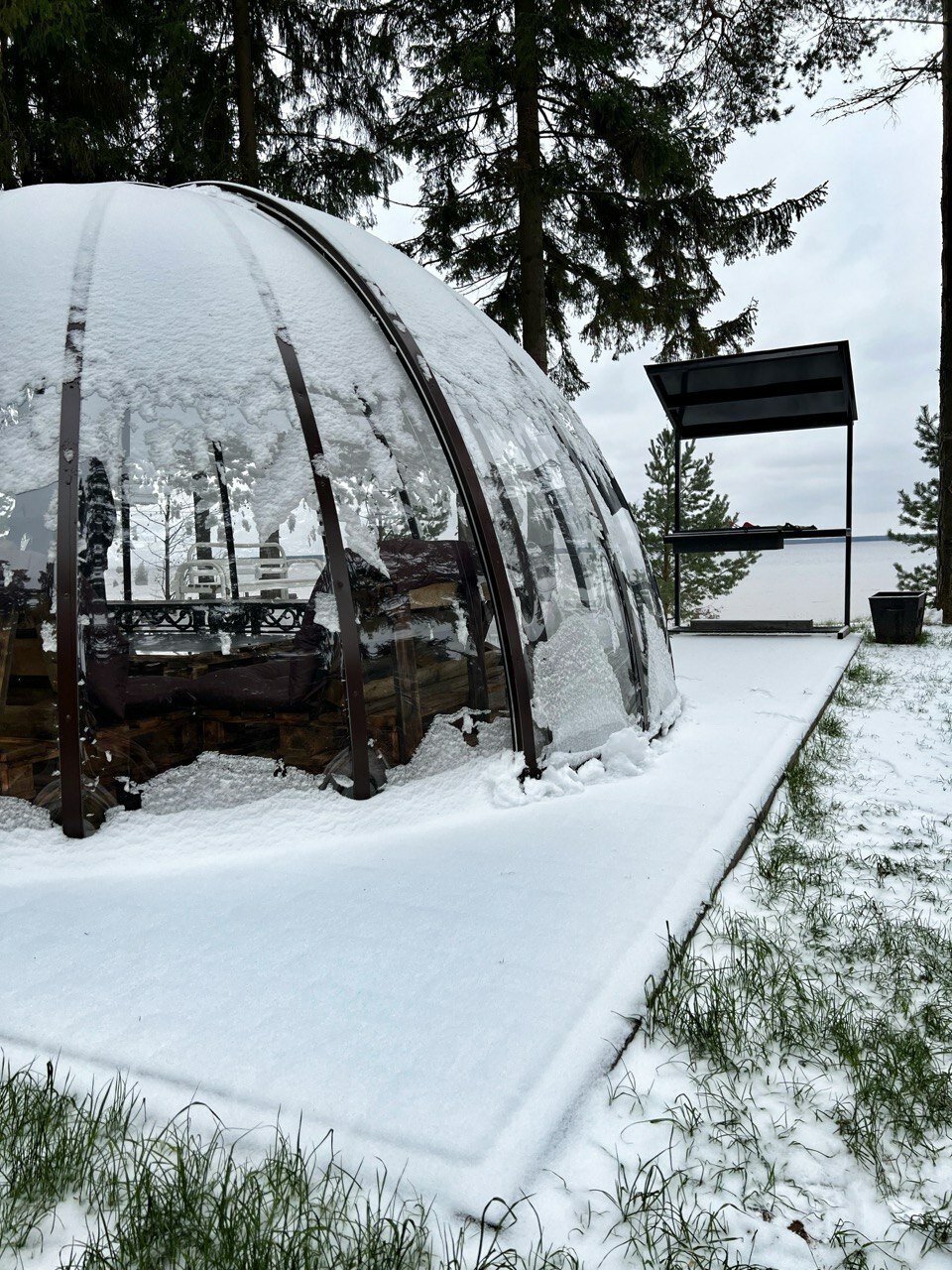 Фото Солнечный бор