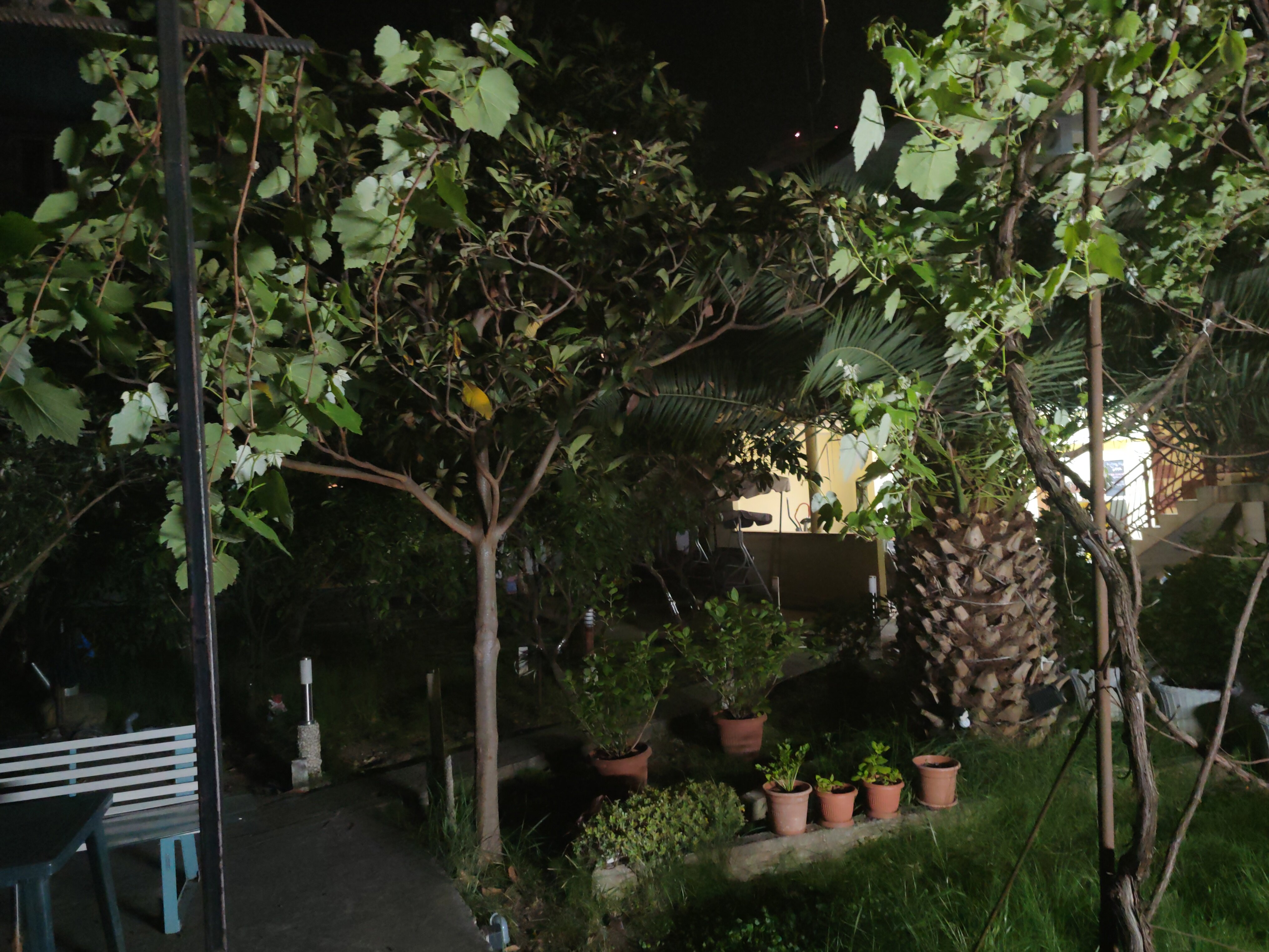 Фото Гостевой дом Фиеста