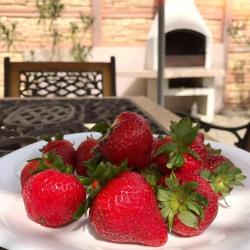 Фото Твой Дом