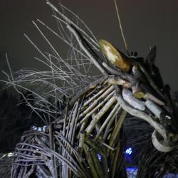 Фото Этнокомплекс Живица