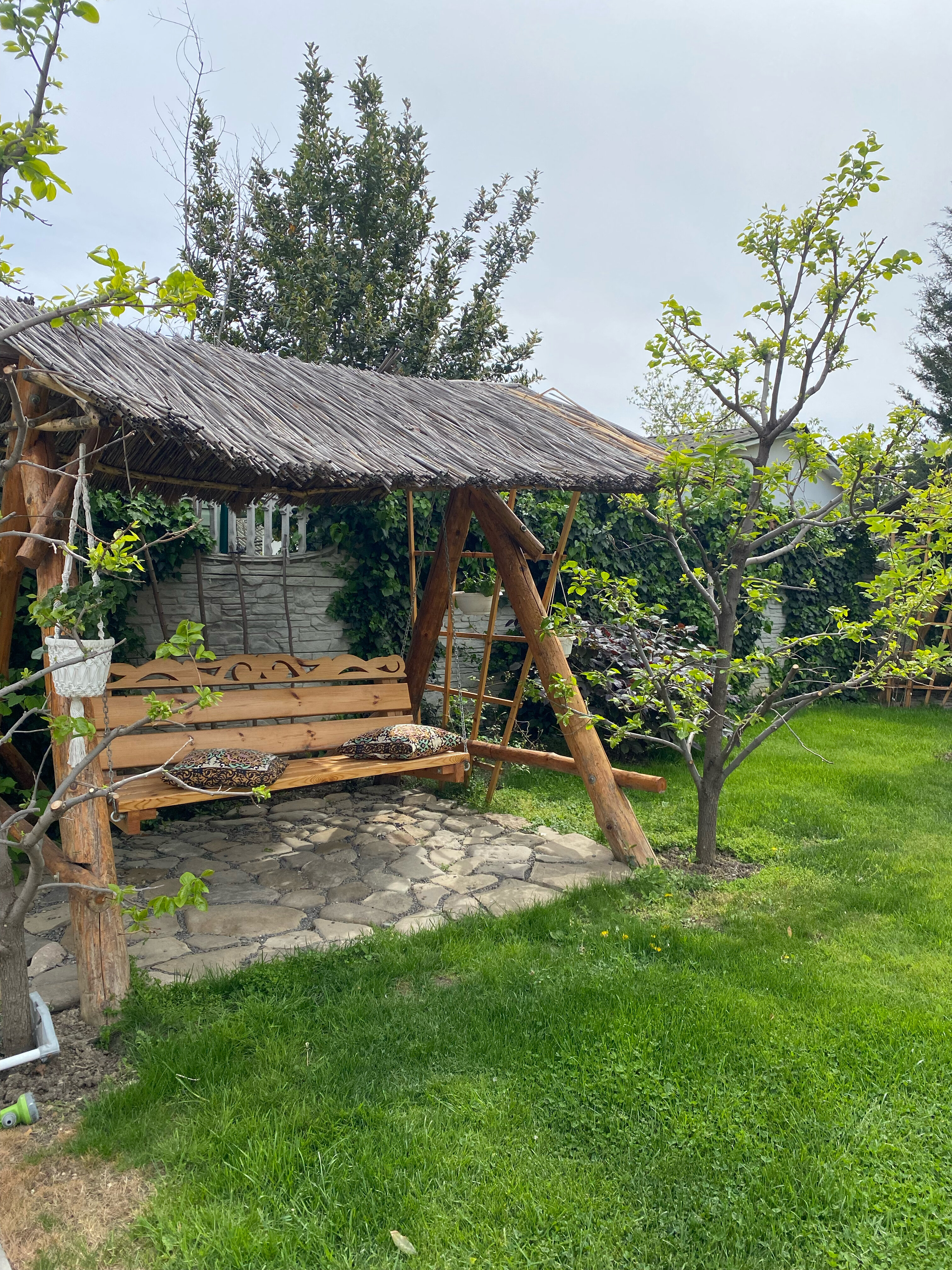 Фото Витязь