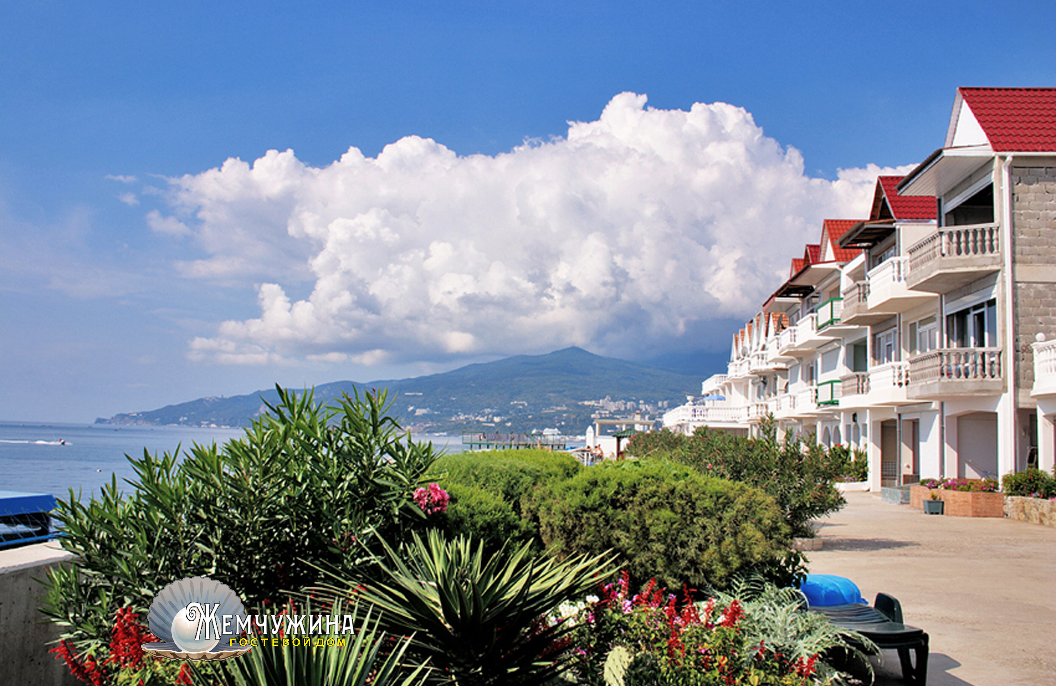 Фото Жемчужина