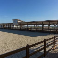 Фото Гермес