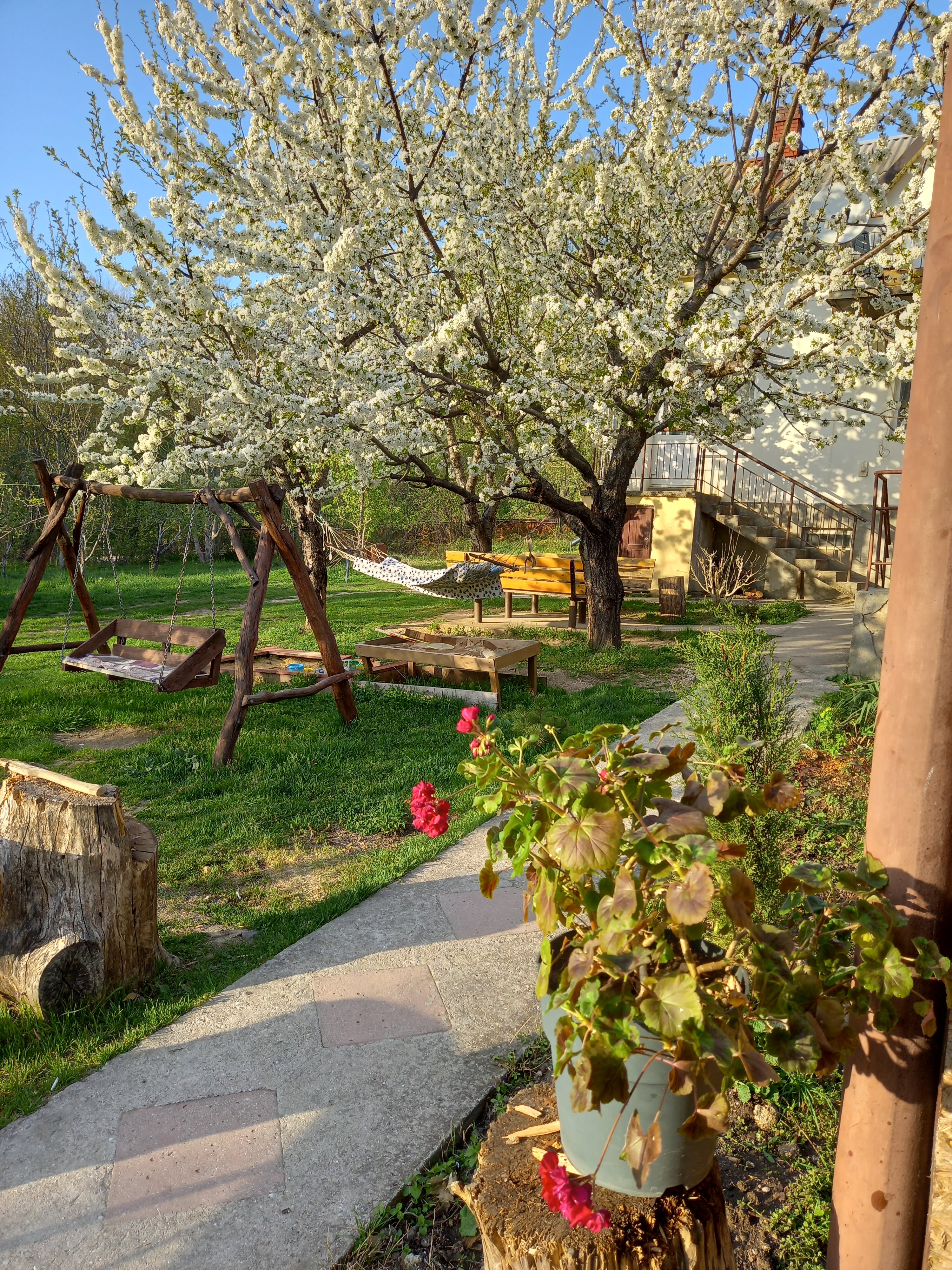 Фото Пчёлка