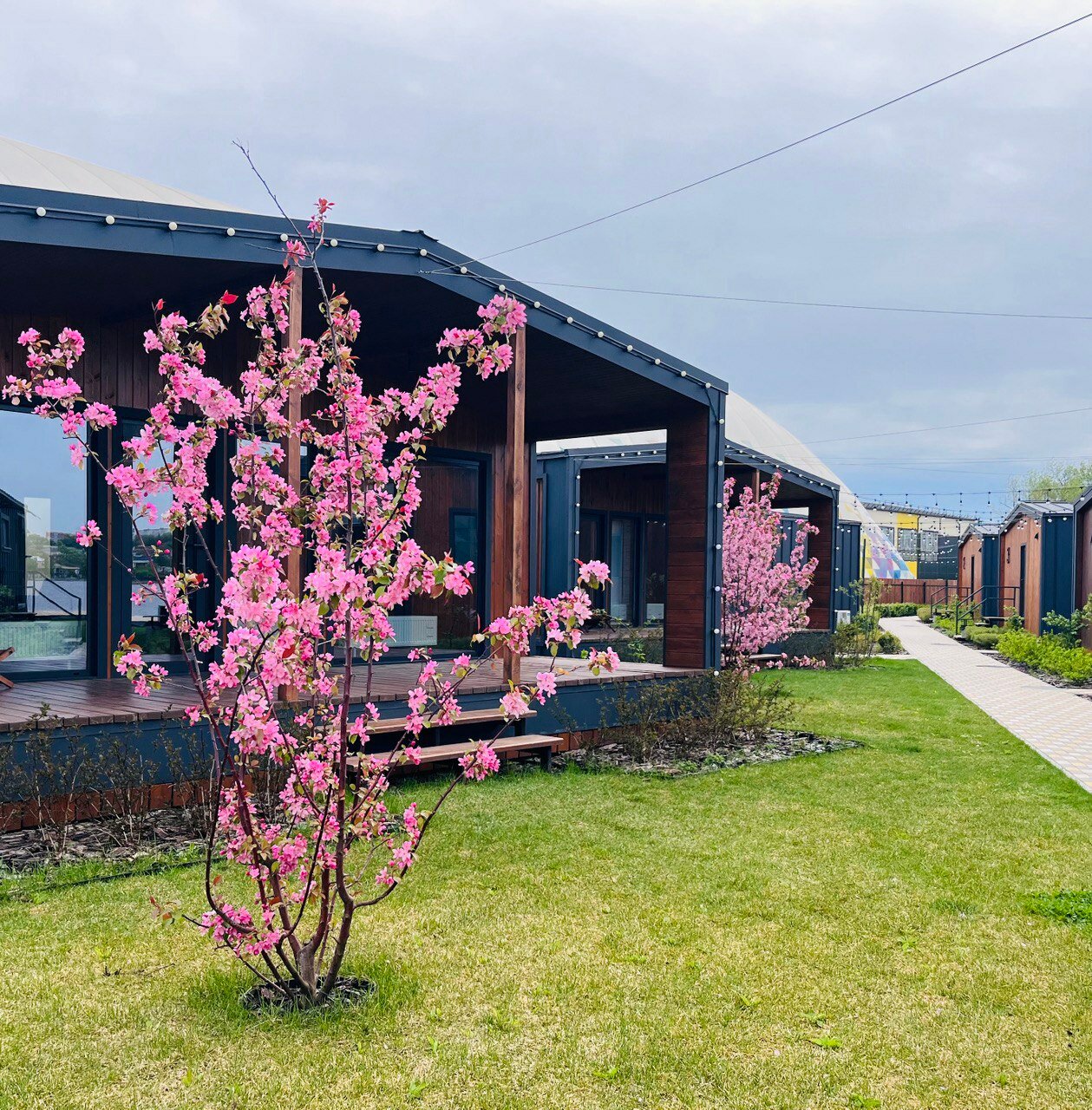 Фото Негород