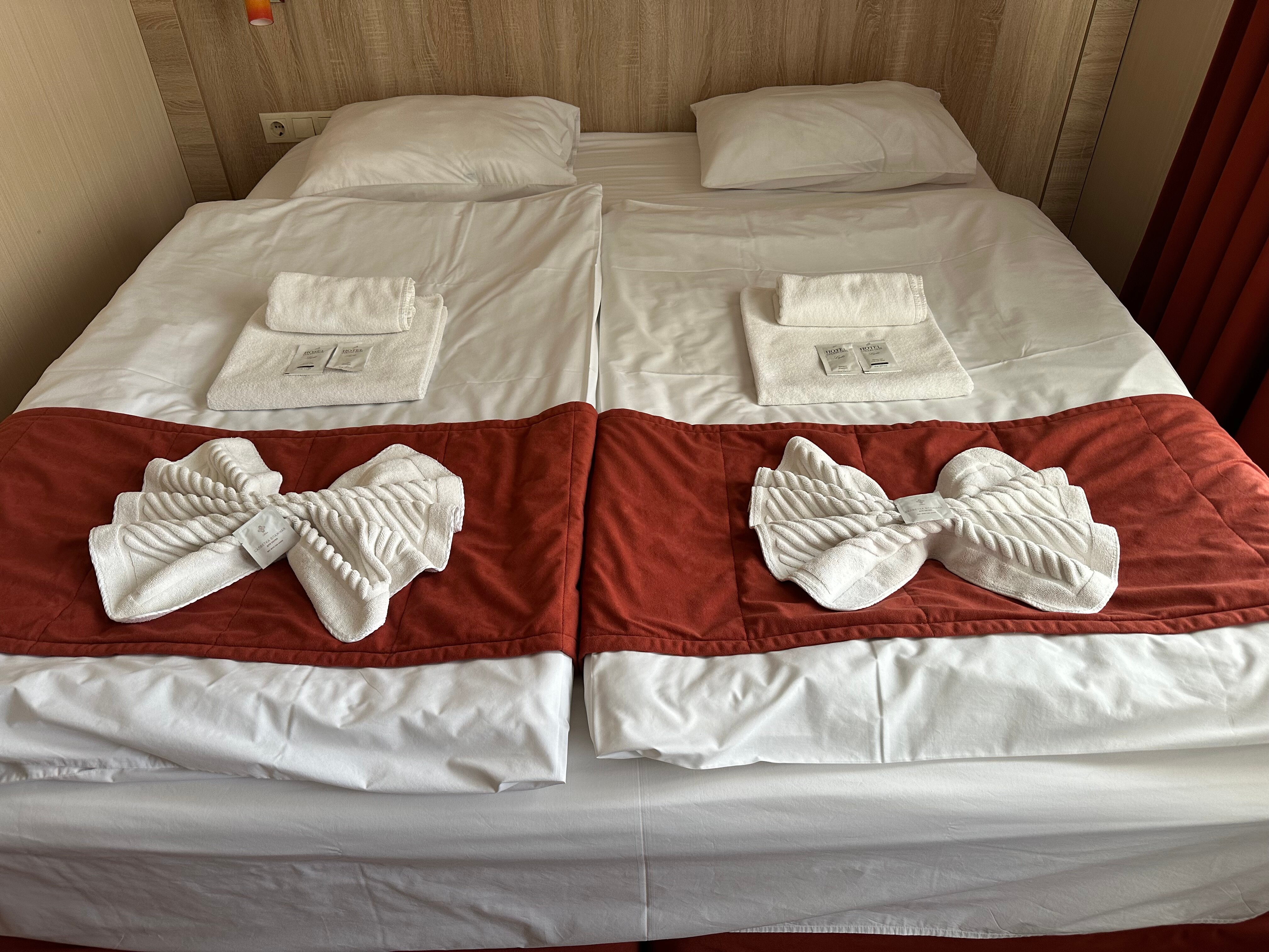 Фото Вишневый сад