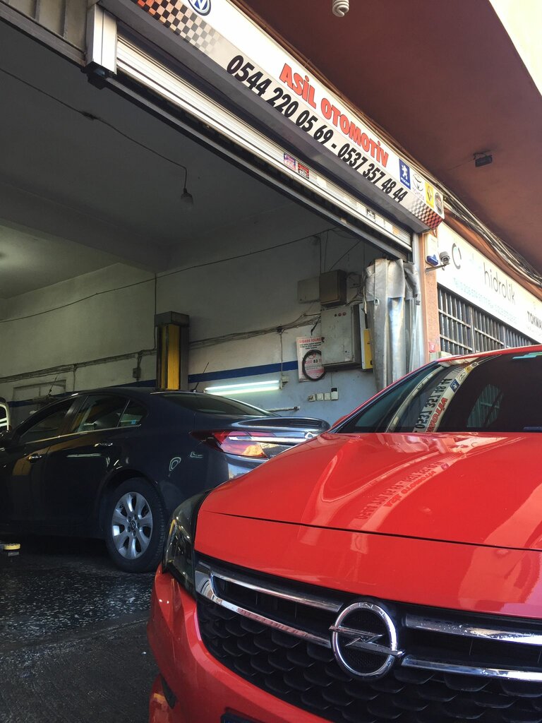 Car service, auto repair Asil Automotive, Istanbul, photo