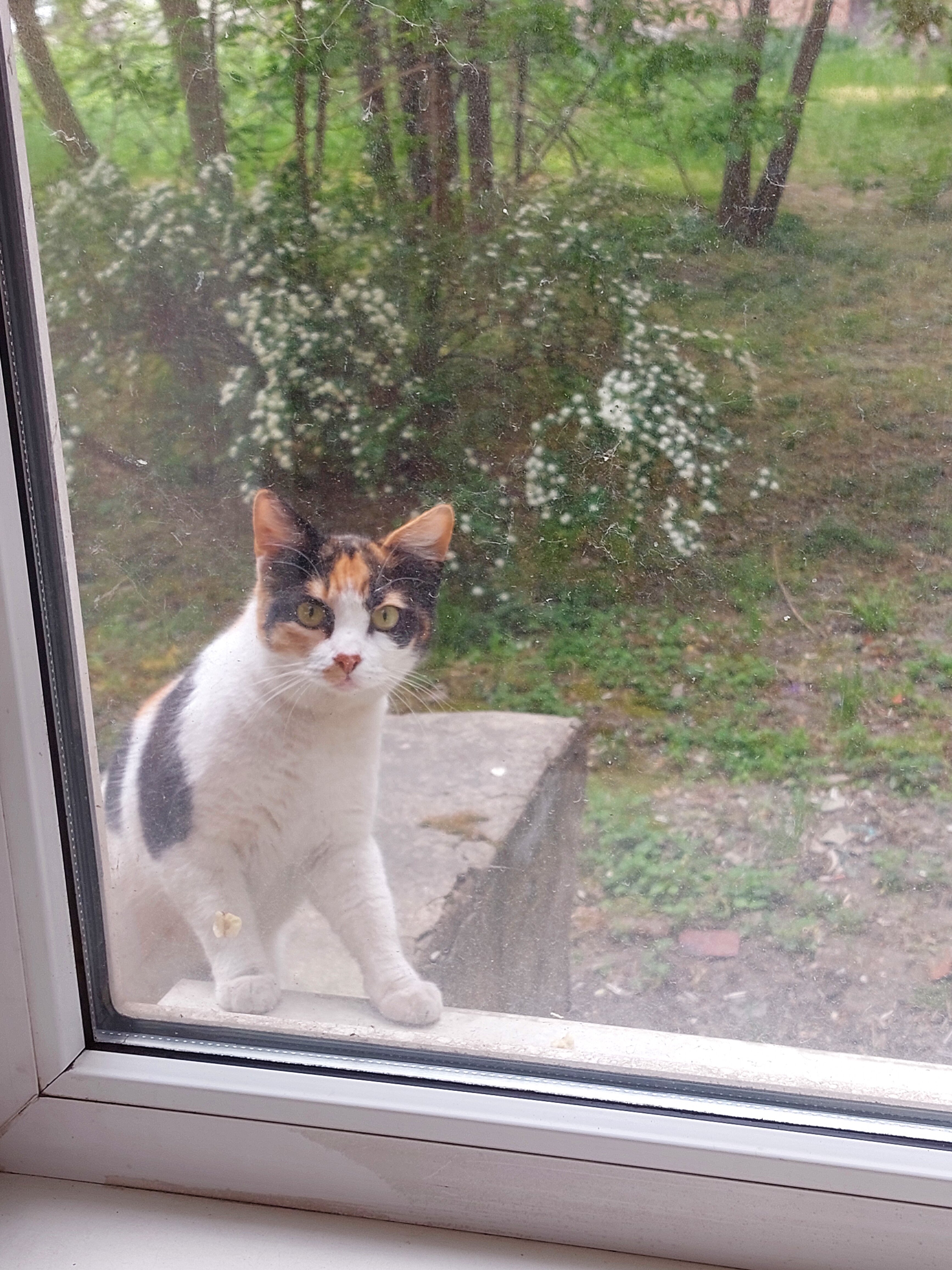 Фото Лофт Постовая