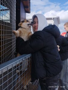 Парк Улитка (ул. 3 Июля, 32, городской посёлок Радошковичи), парк культуры и отдыха в Минской области