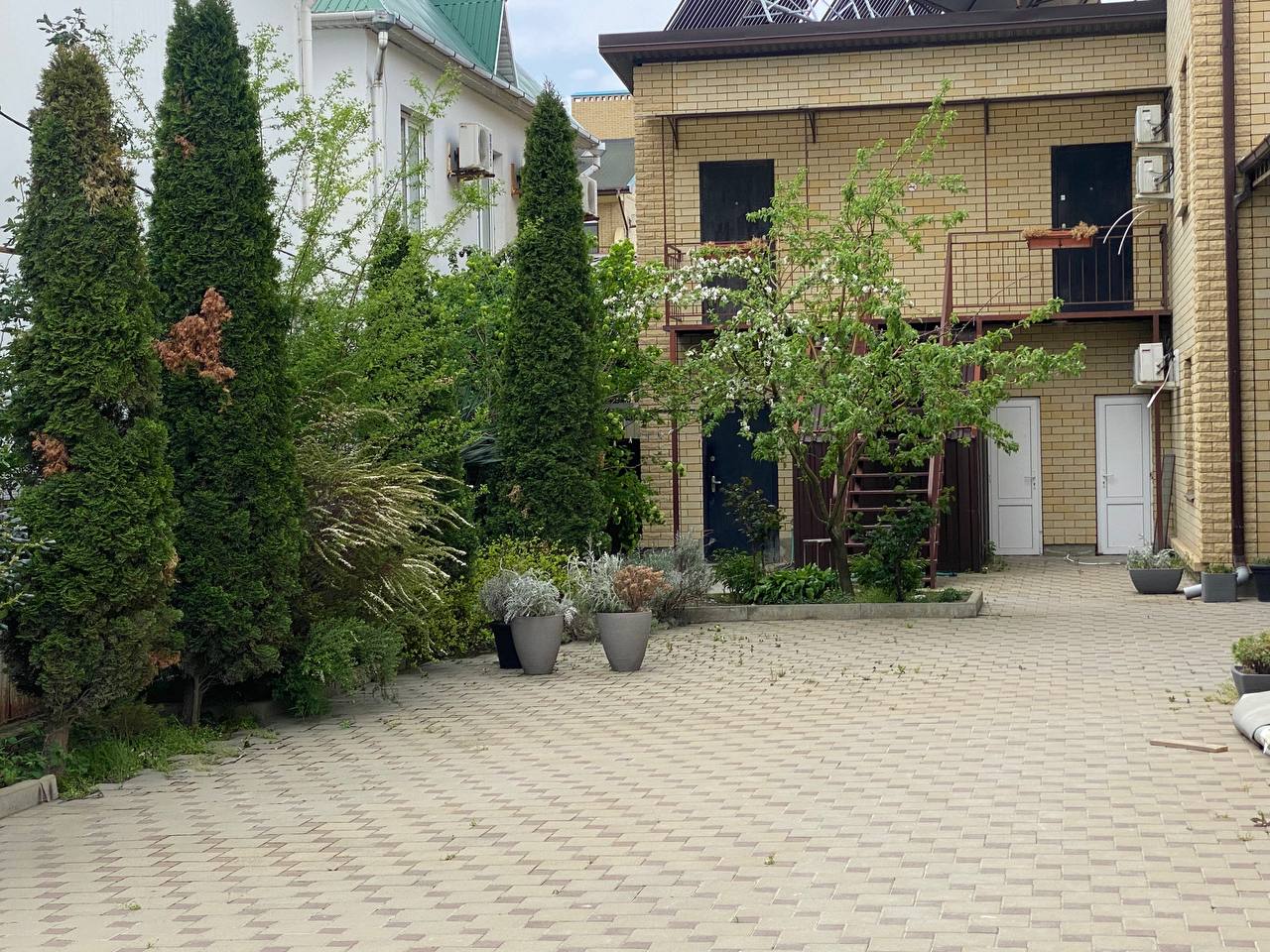 Фото Антипов