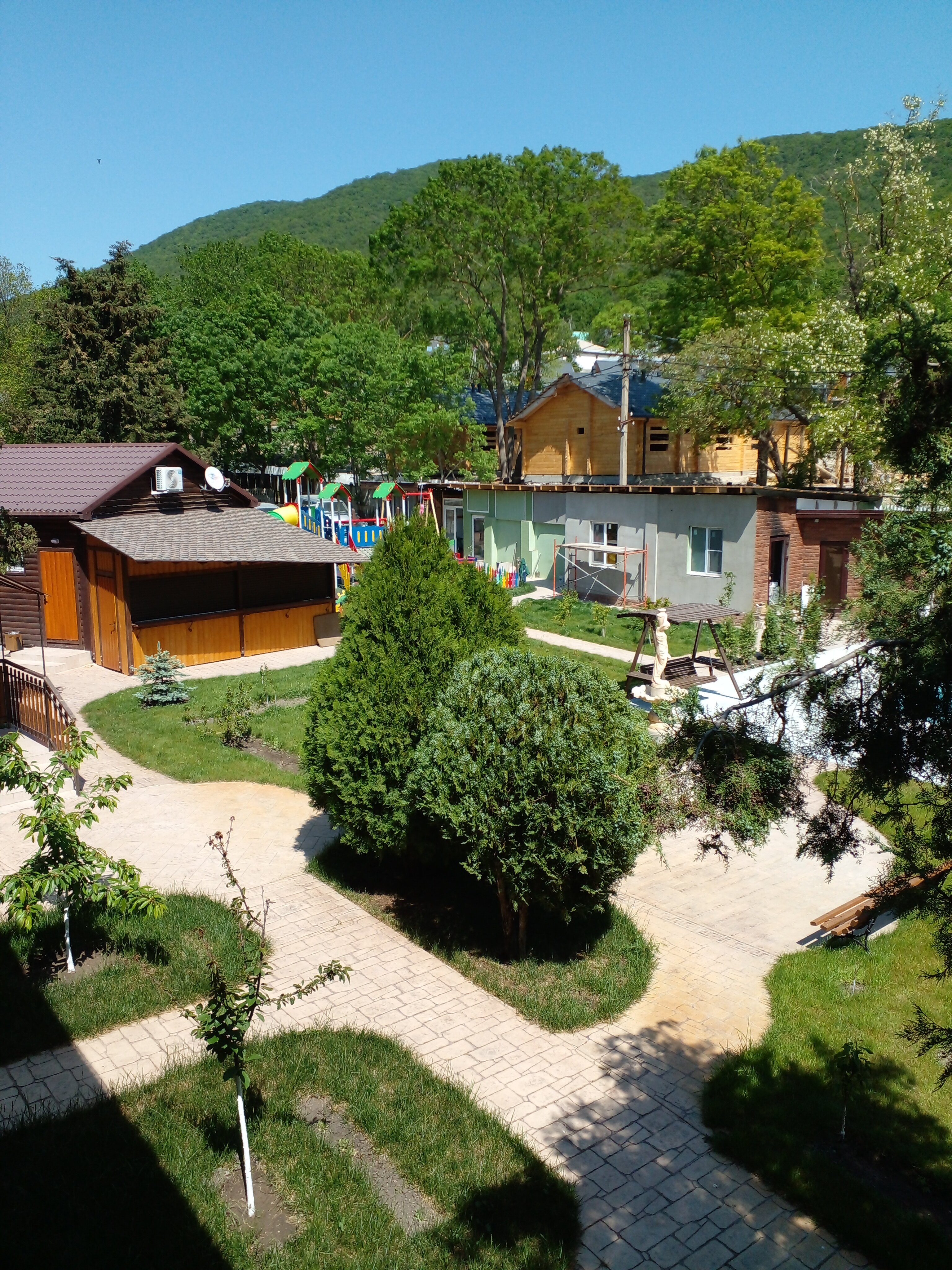 Фото Ромашка