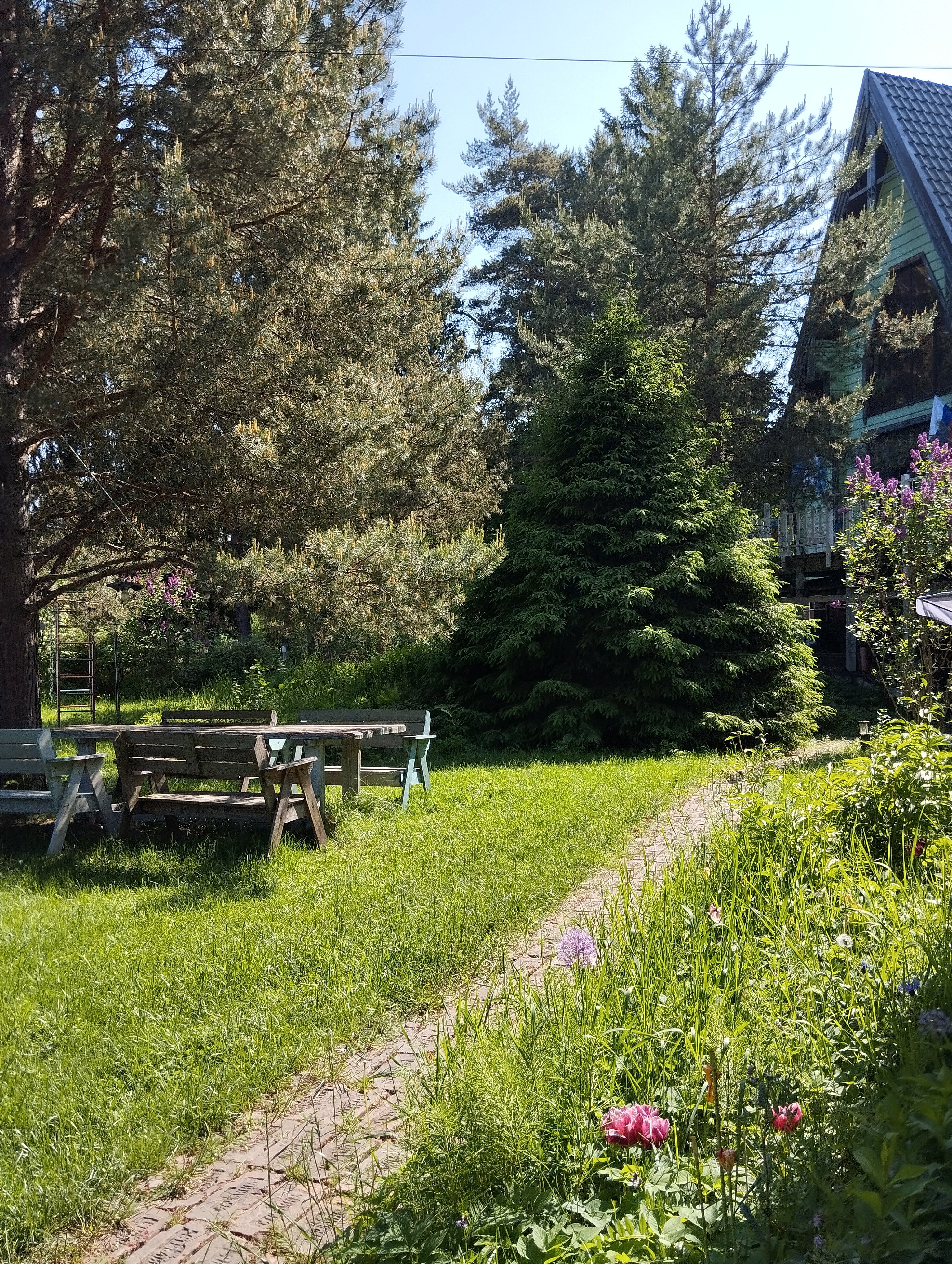 Фото Тарховка