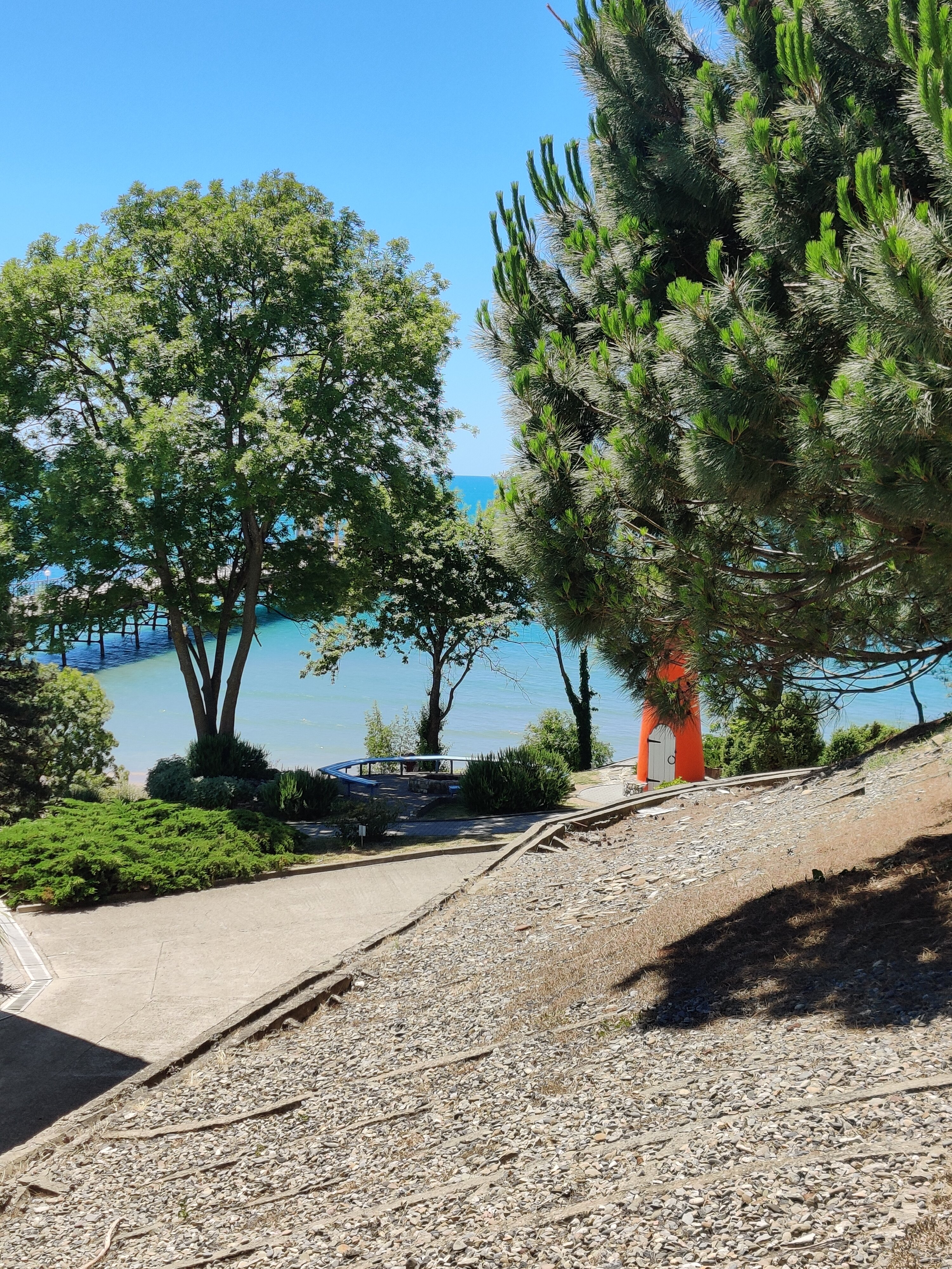 Фото У Петровича