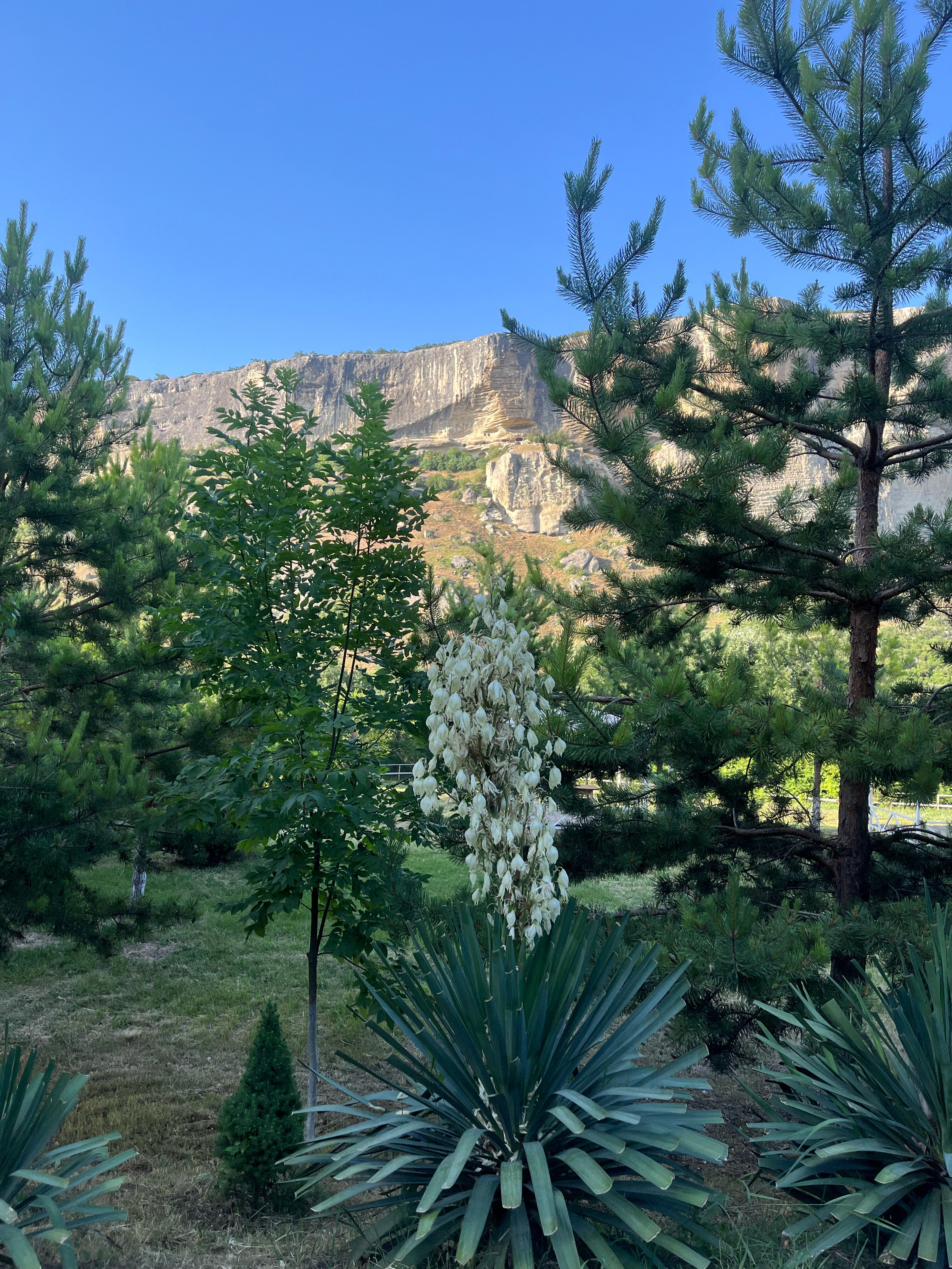 Фото Алимова Балка