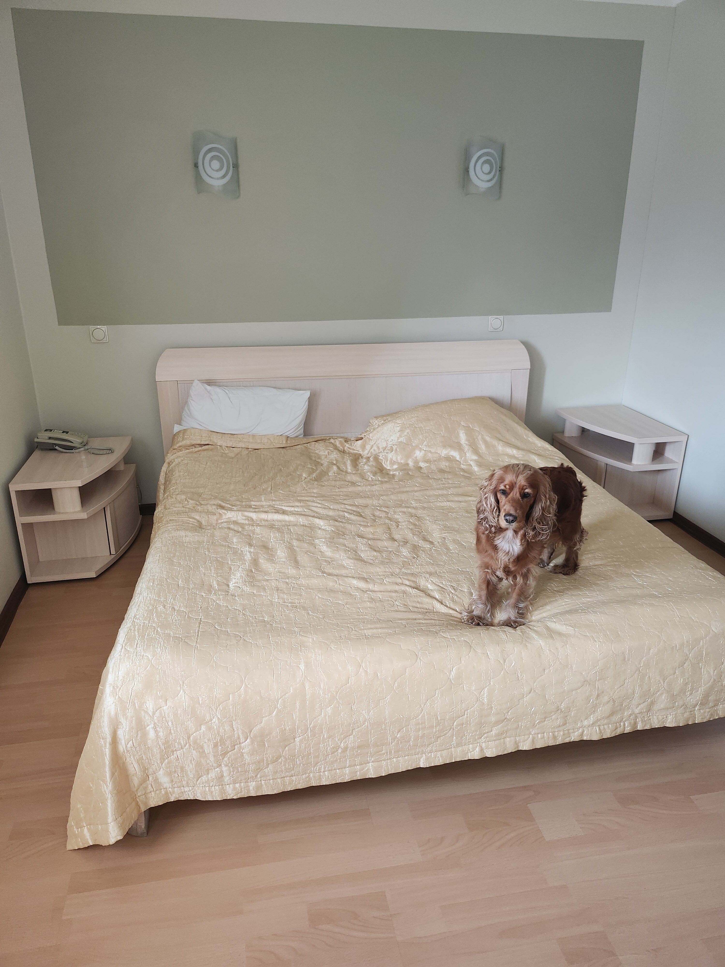 Фото Ю Питер