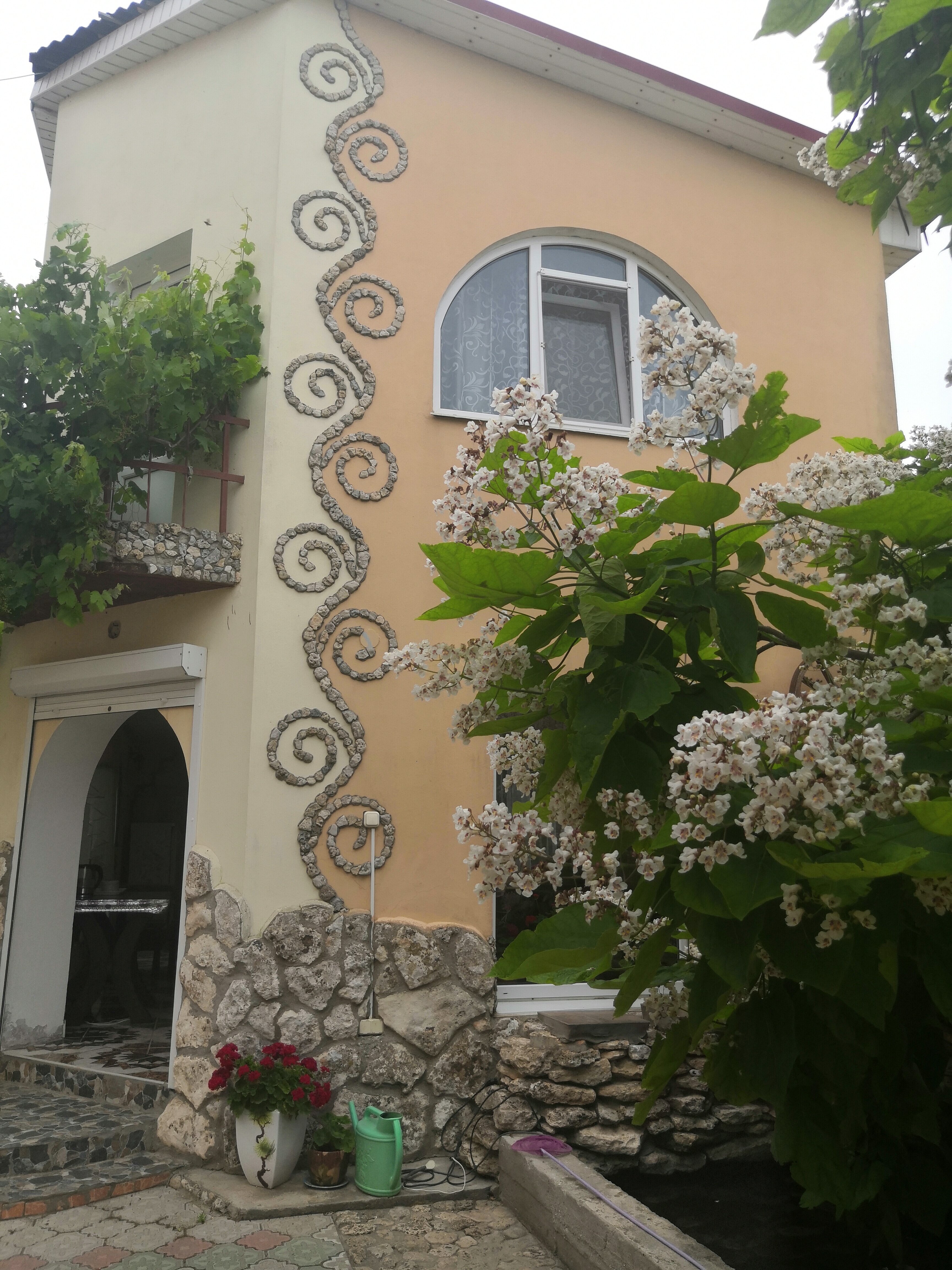 Фото Роза ветров