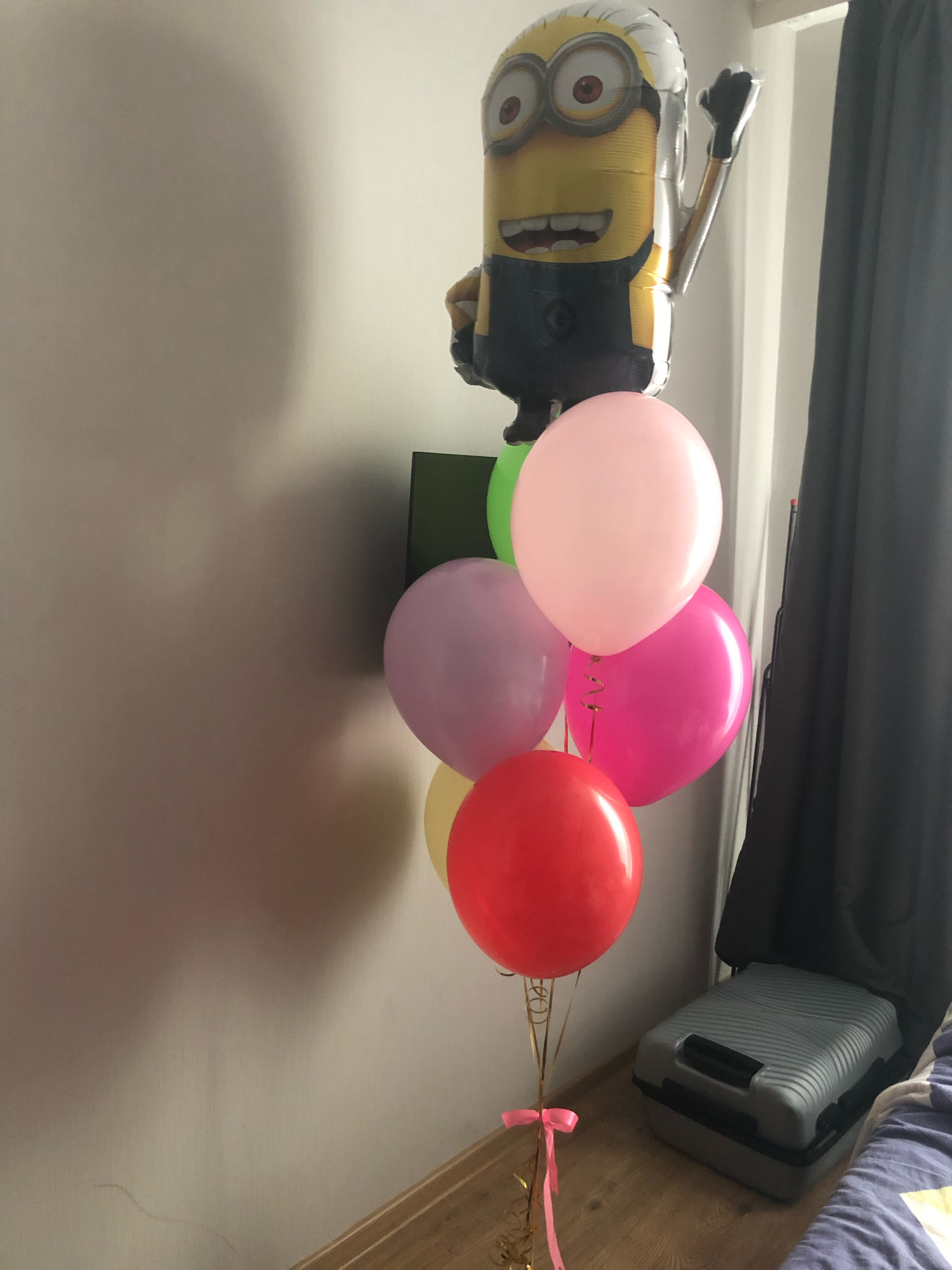 Фото SalutApart 8