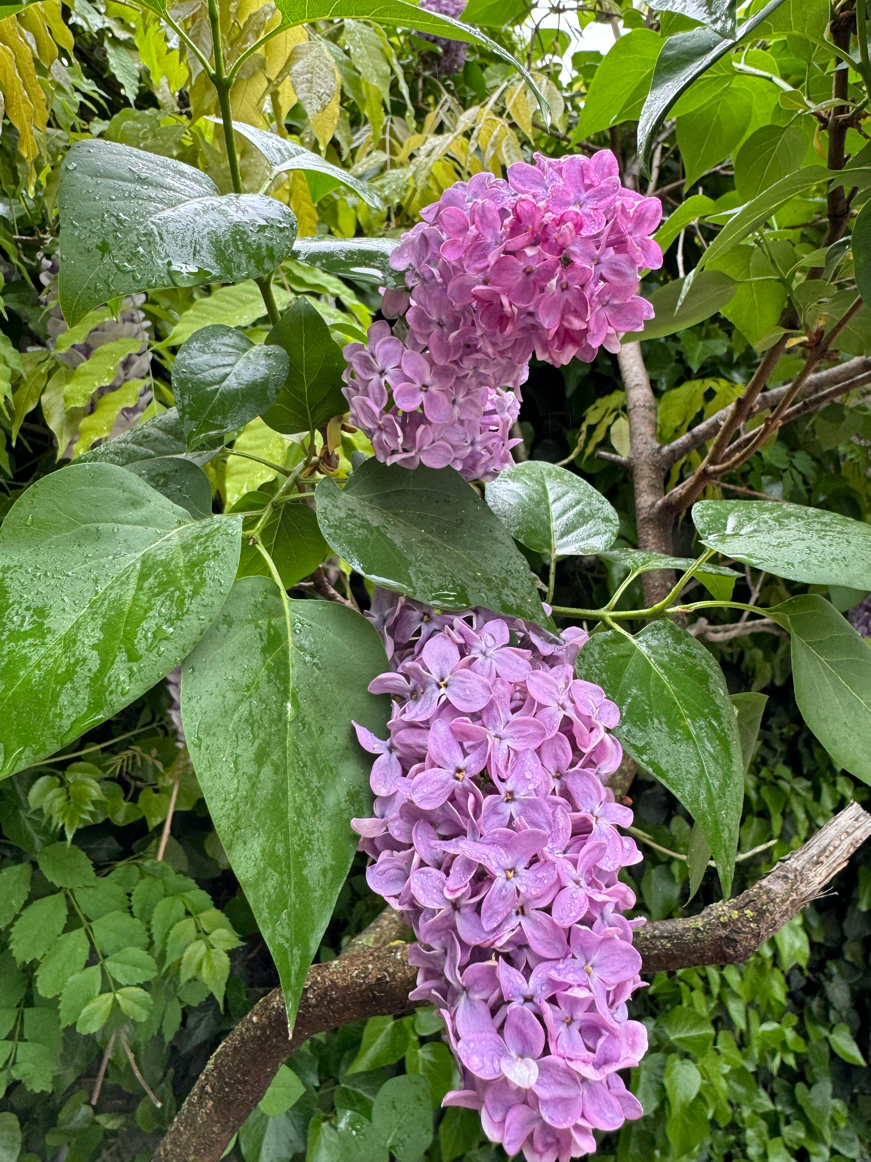 Фото Пляжный