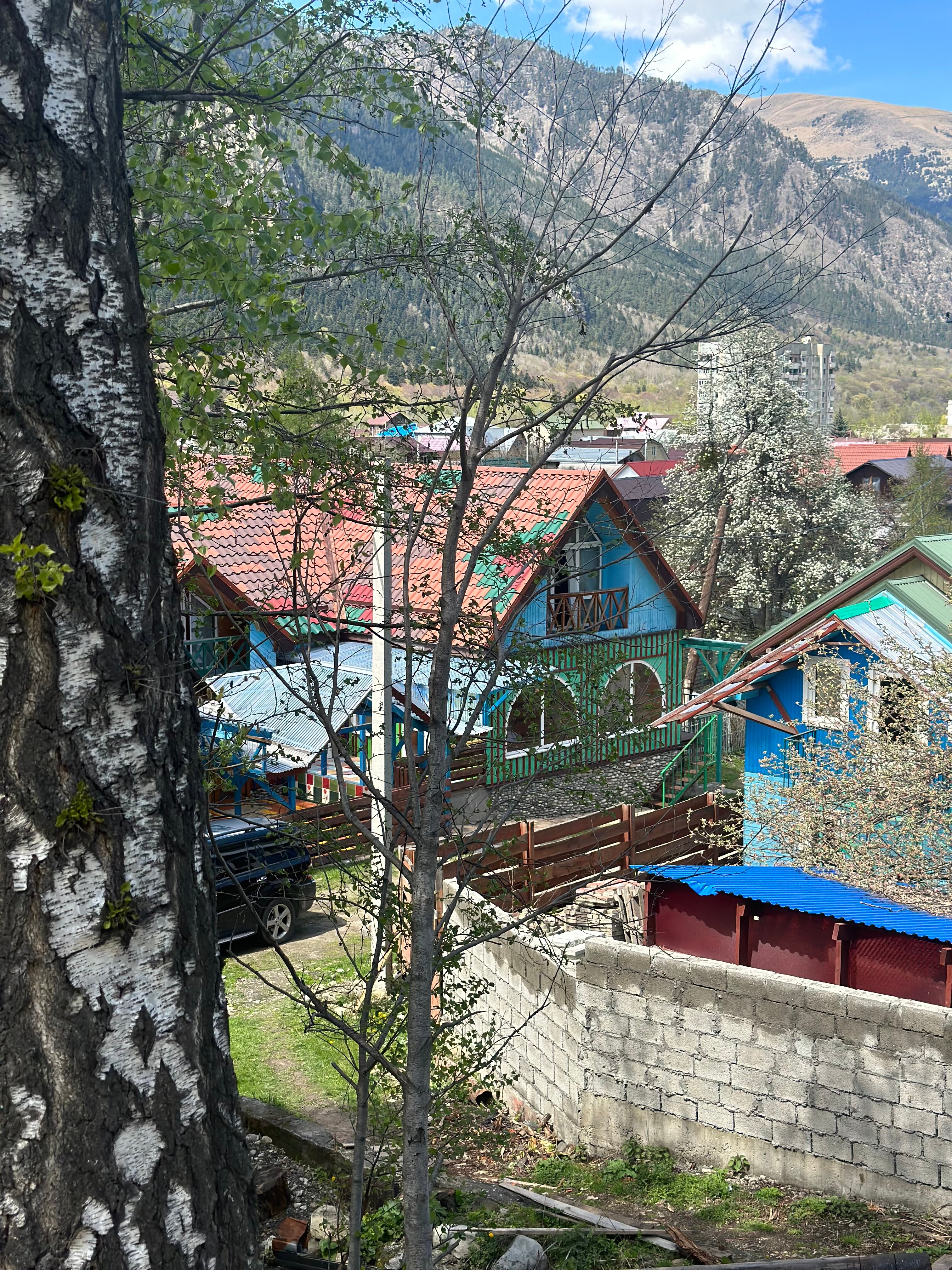 Фото Райские яблоки