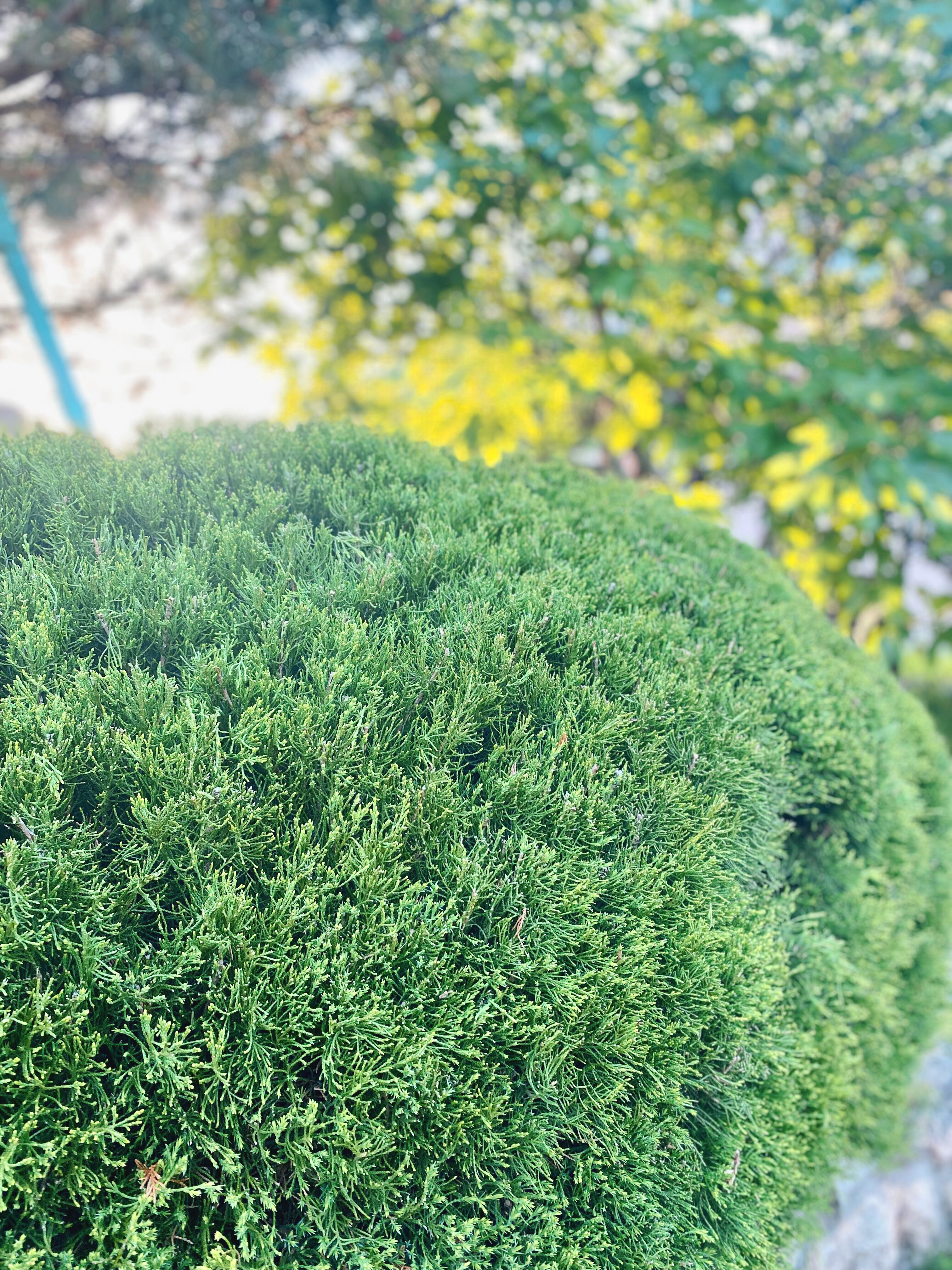 Фото Это-Лето