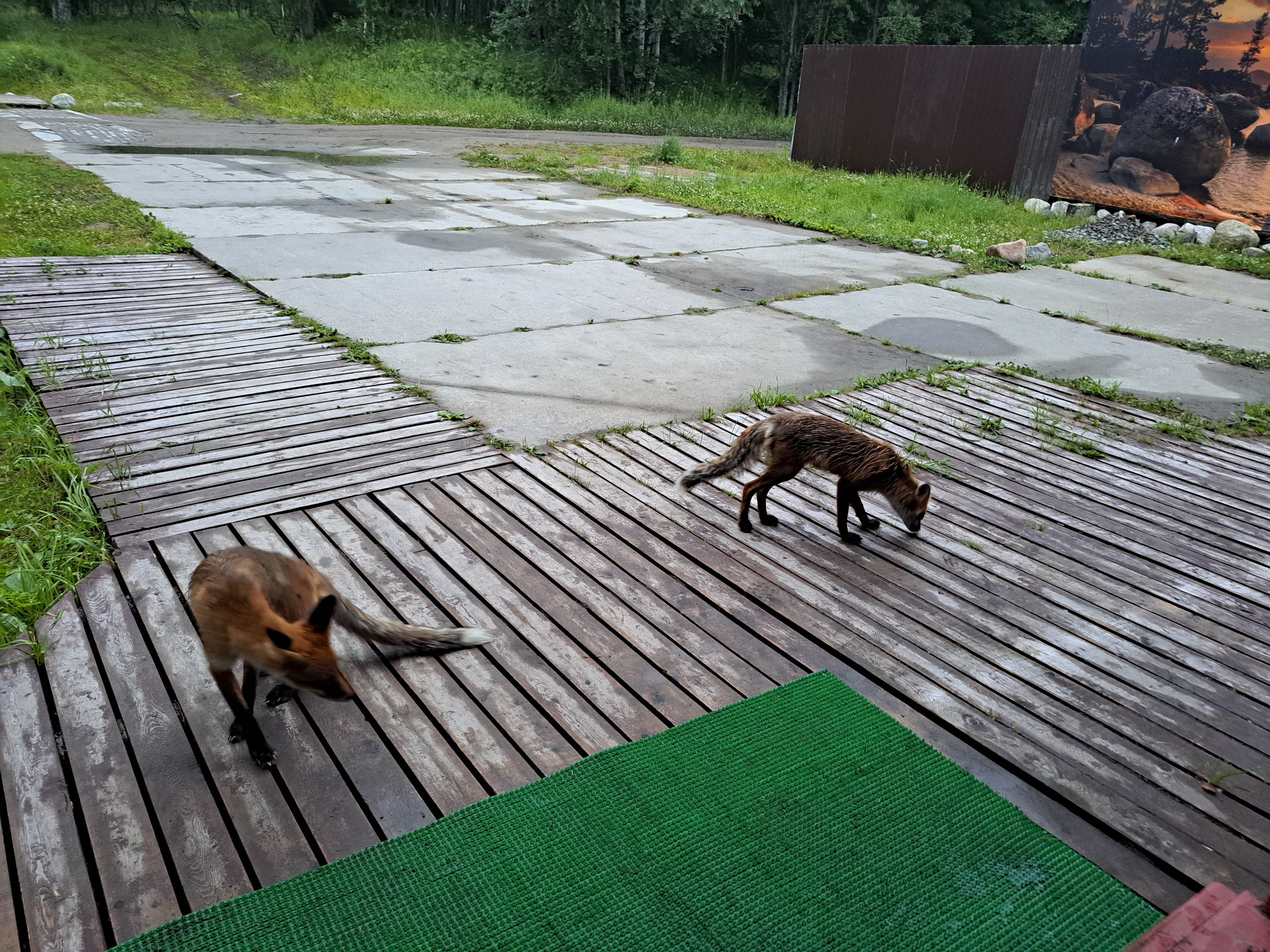 Фото Хутор Варяжский