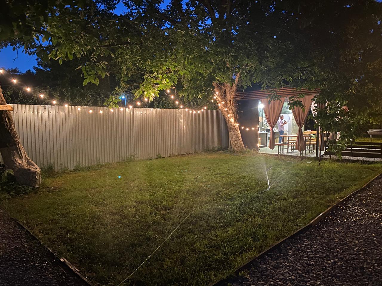 Фото Берег леса