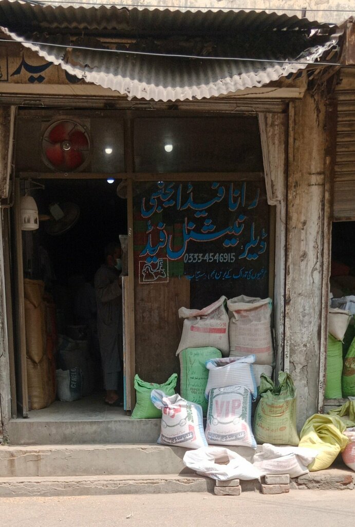 Fodder and feed additives Rana Feed Agency and Dealer National Feed, Lahore, photo