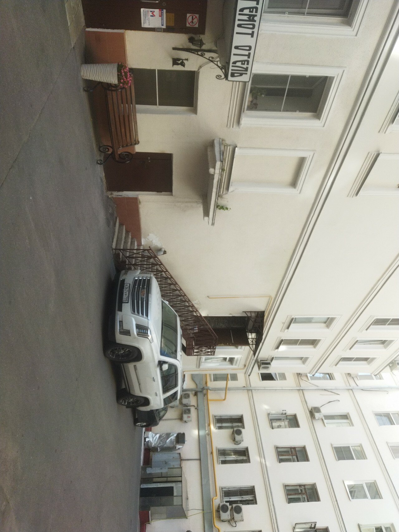 Фото Бегемот