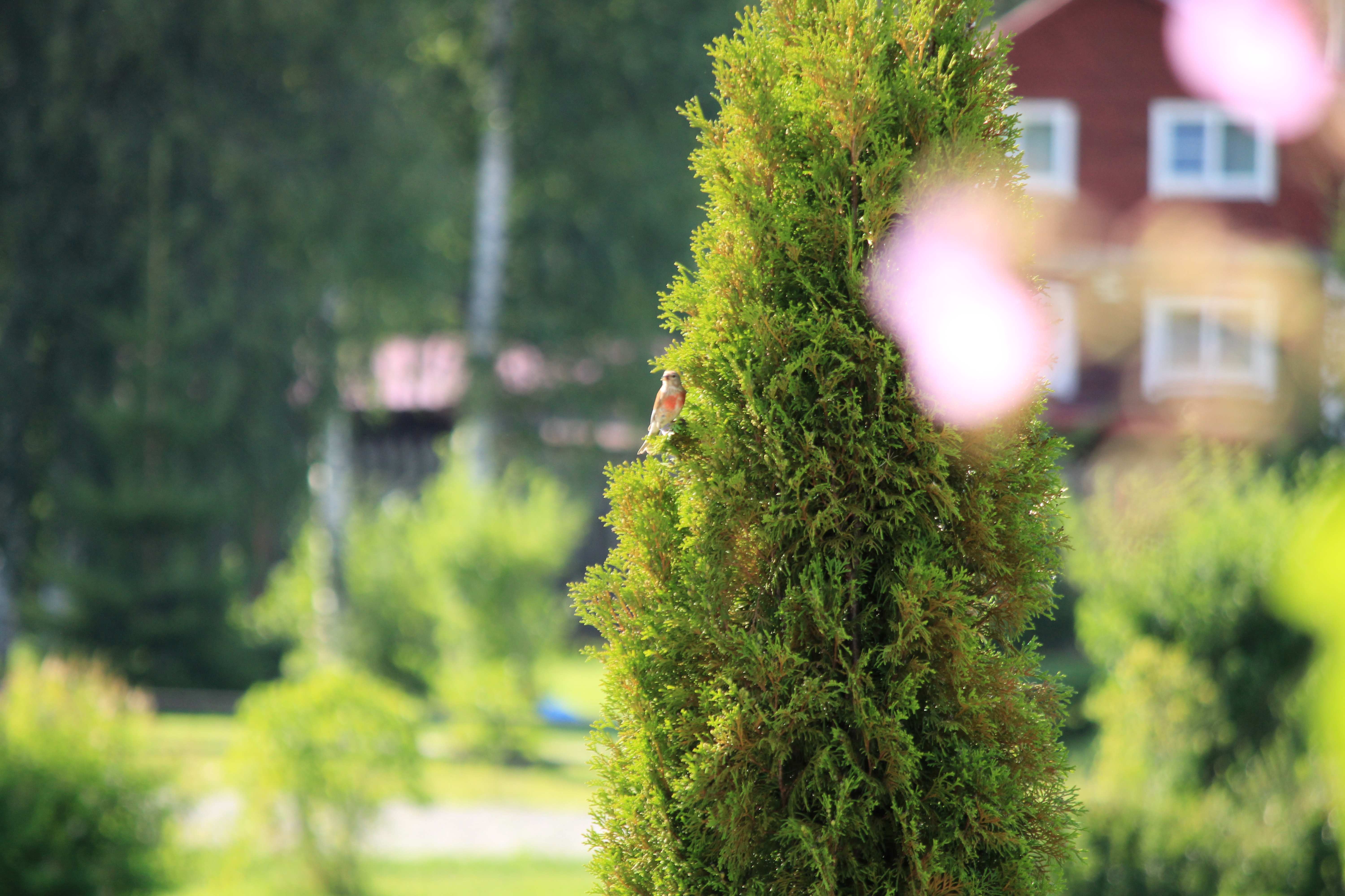 Фото Поместье Загосье