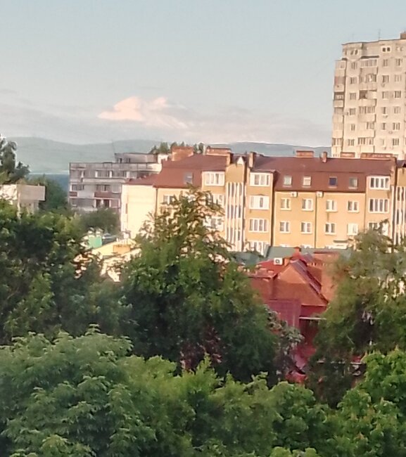 Фото Лесная поляна