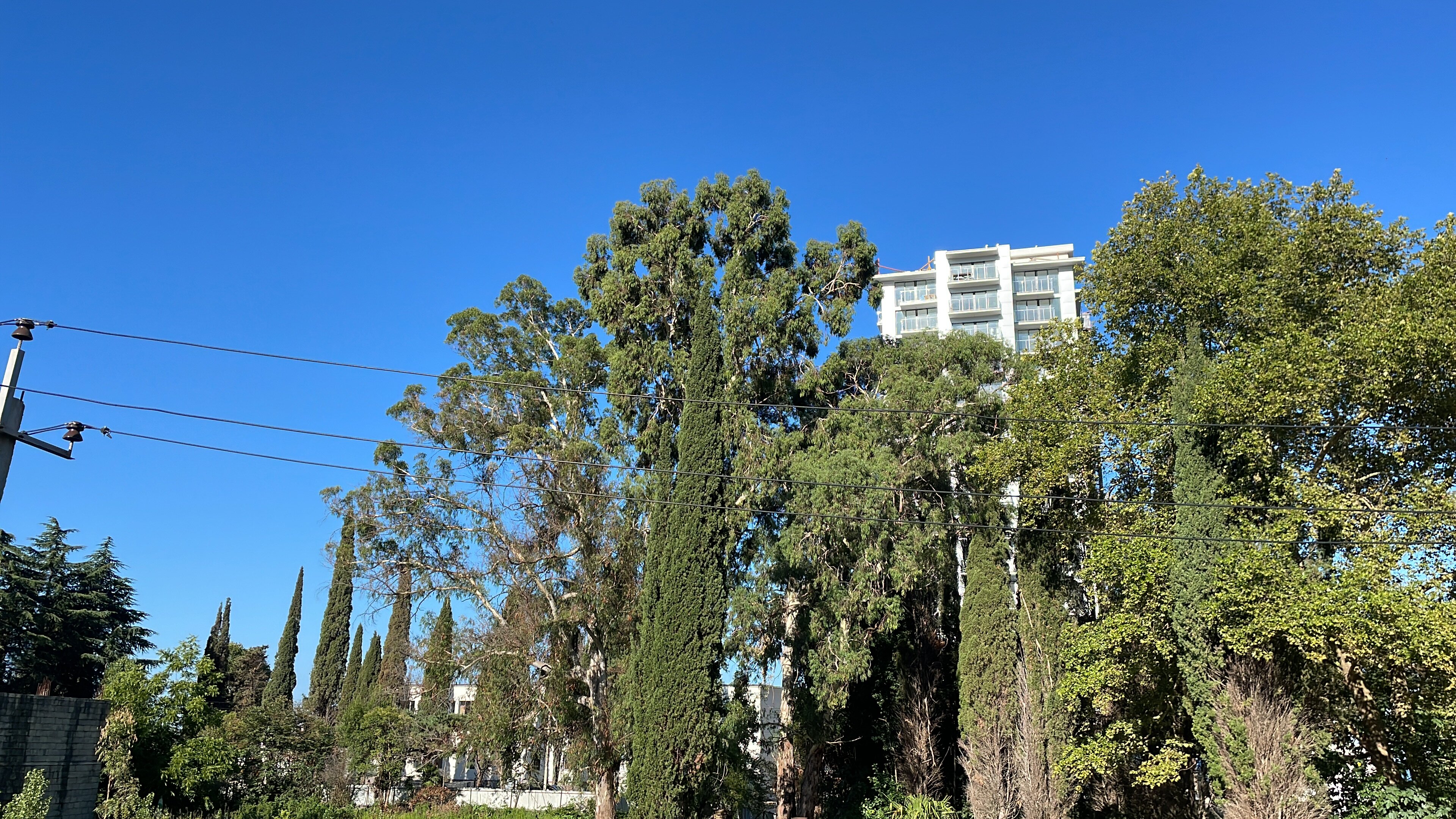 Фото Nitika Hotel