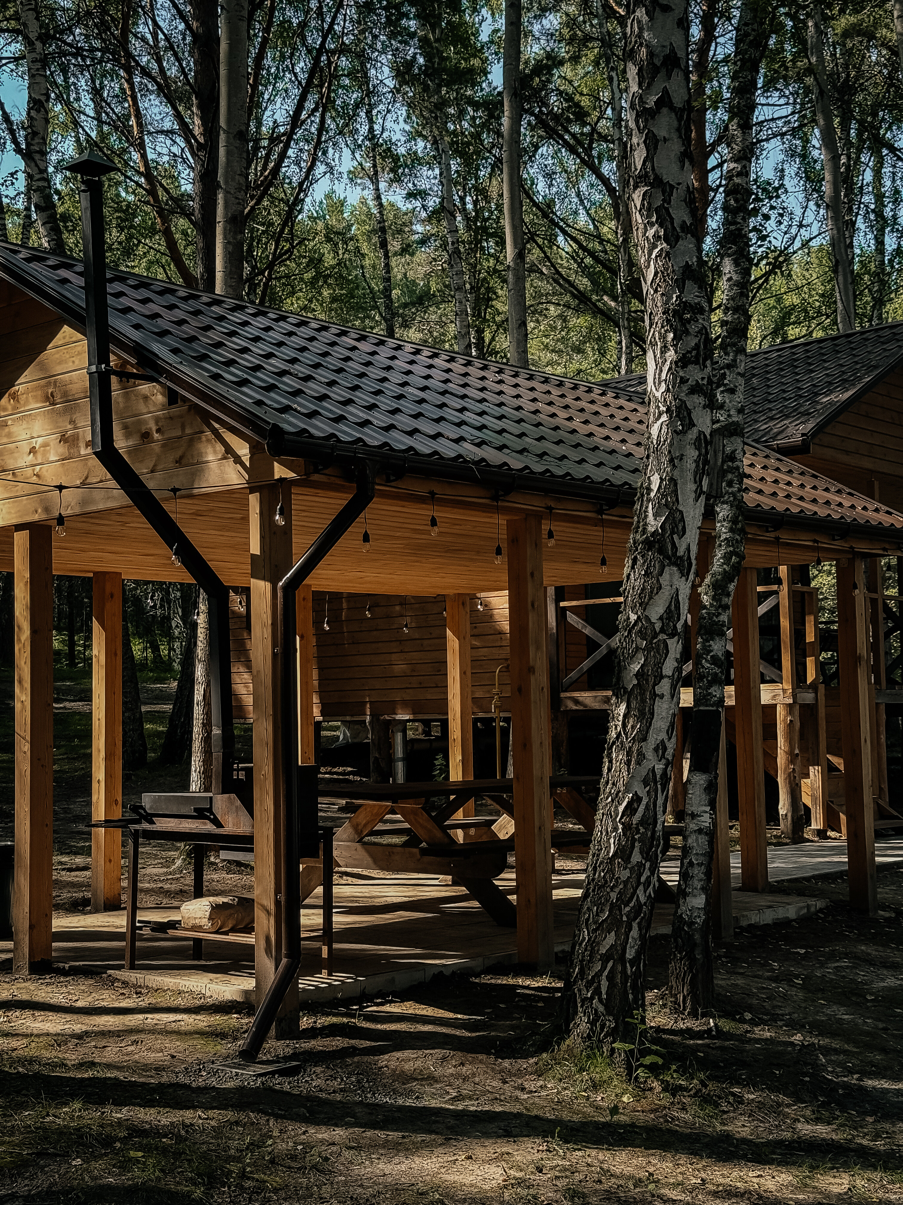 Фото Место под солнцем