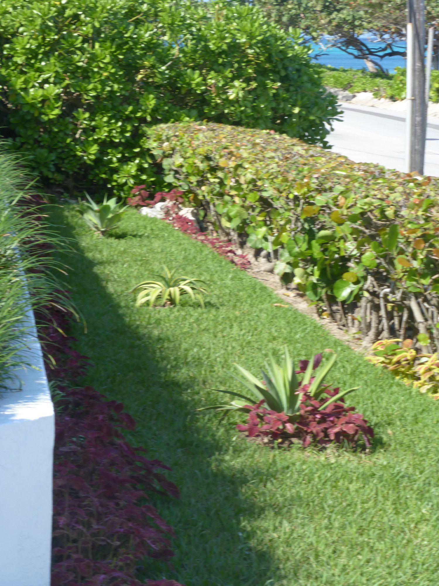 Фото Villa North Winds Orange Hill