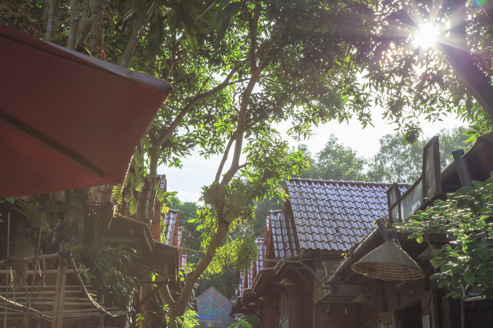 Фото Cosy Bungalow Phu Quoc