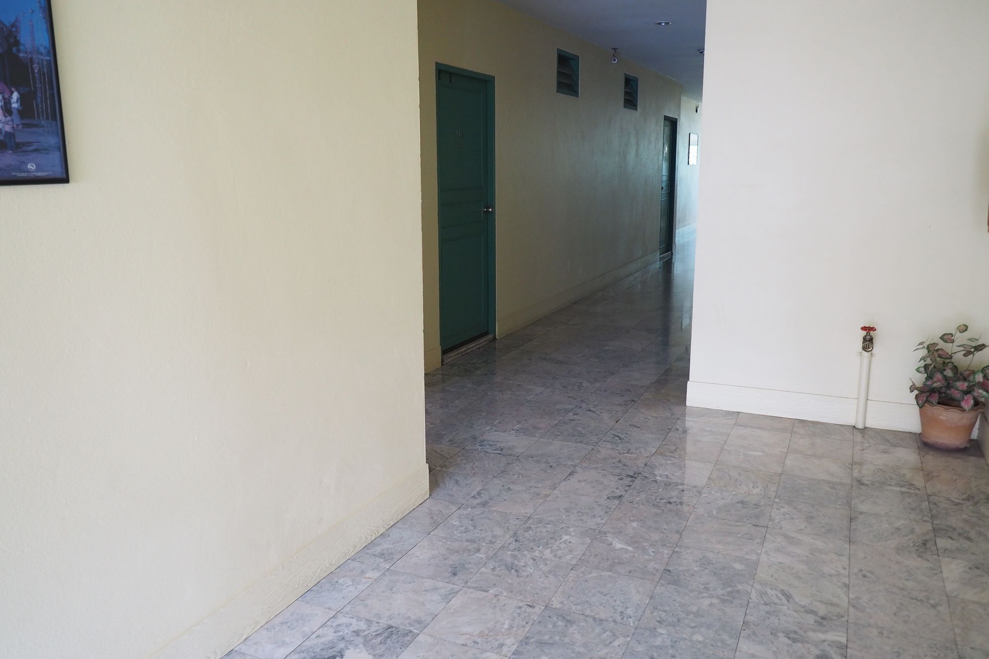 Фото Luxury Hotel